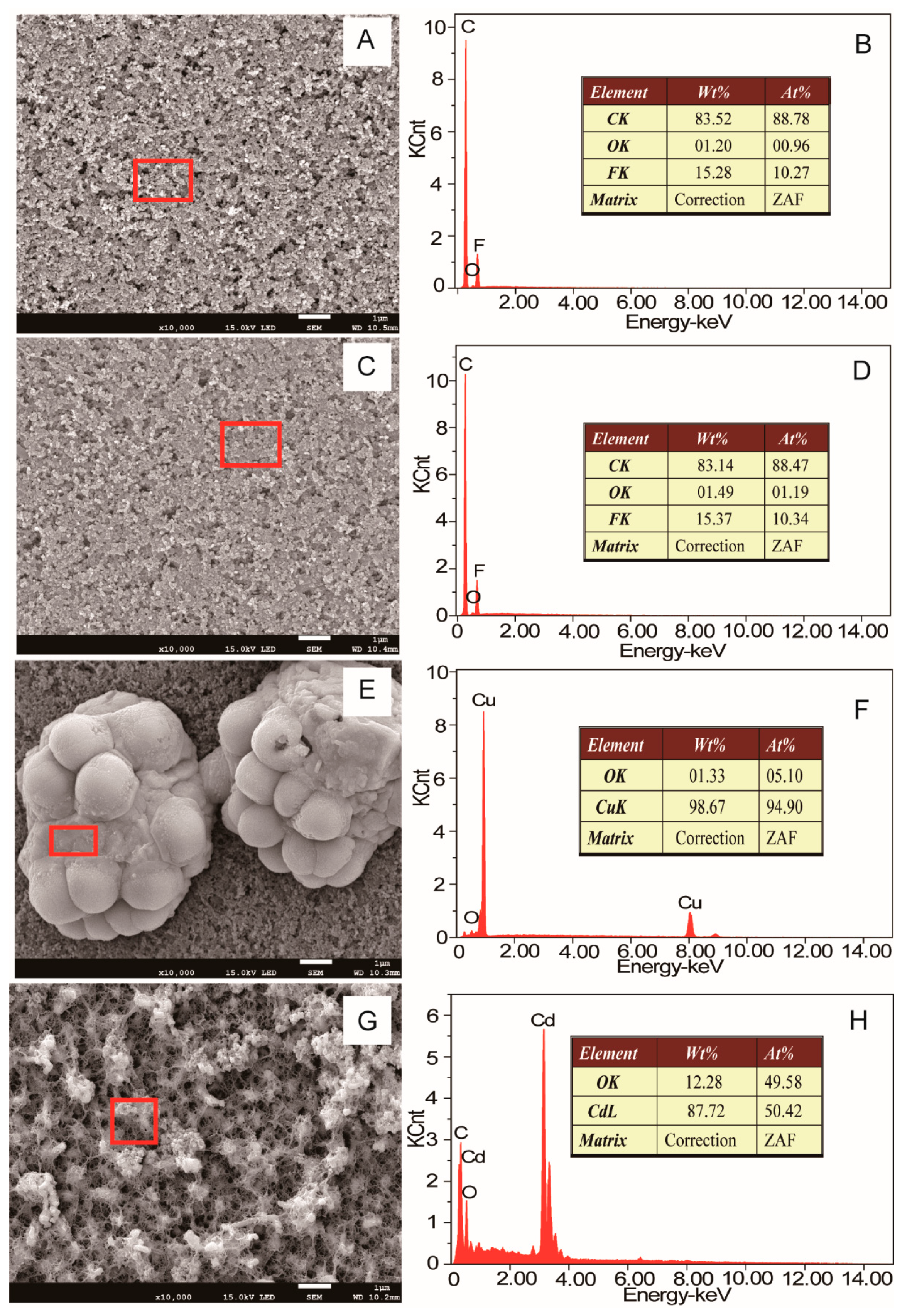 Microorganisms 08 00041 g009