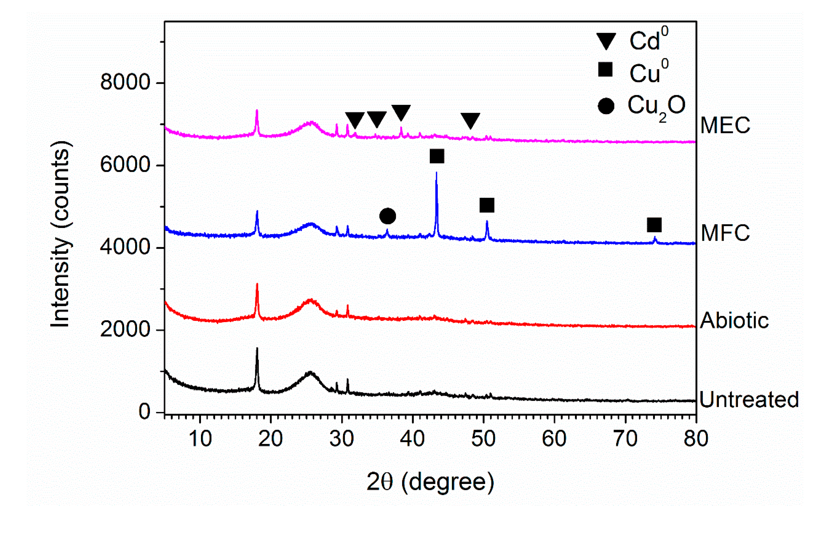 Microorganisms 08 00041 g010