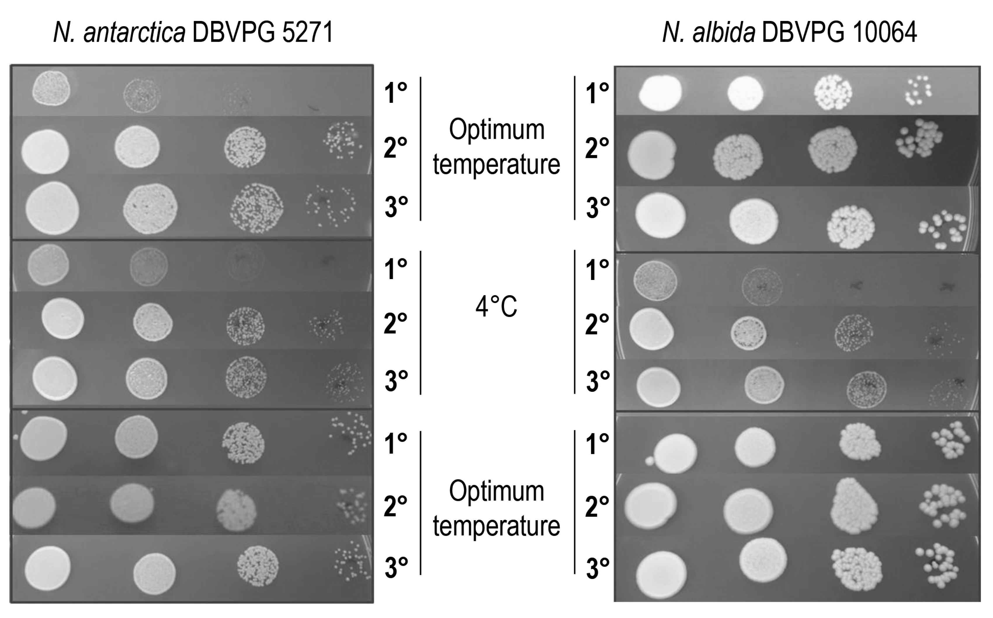 Microorganisms 08 00296 g003