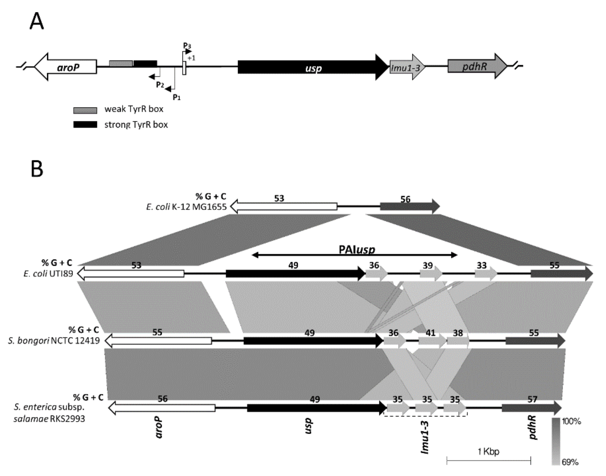 Microorganisms 08 00330 g001