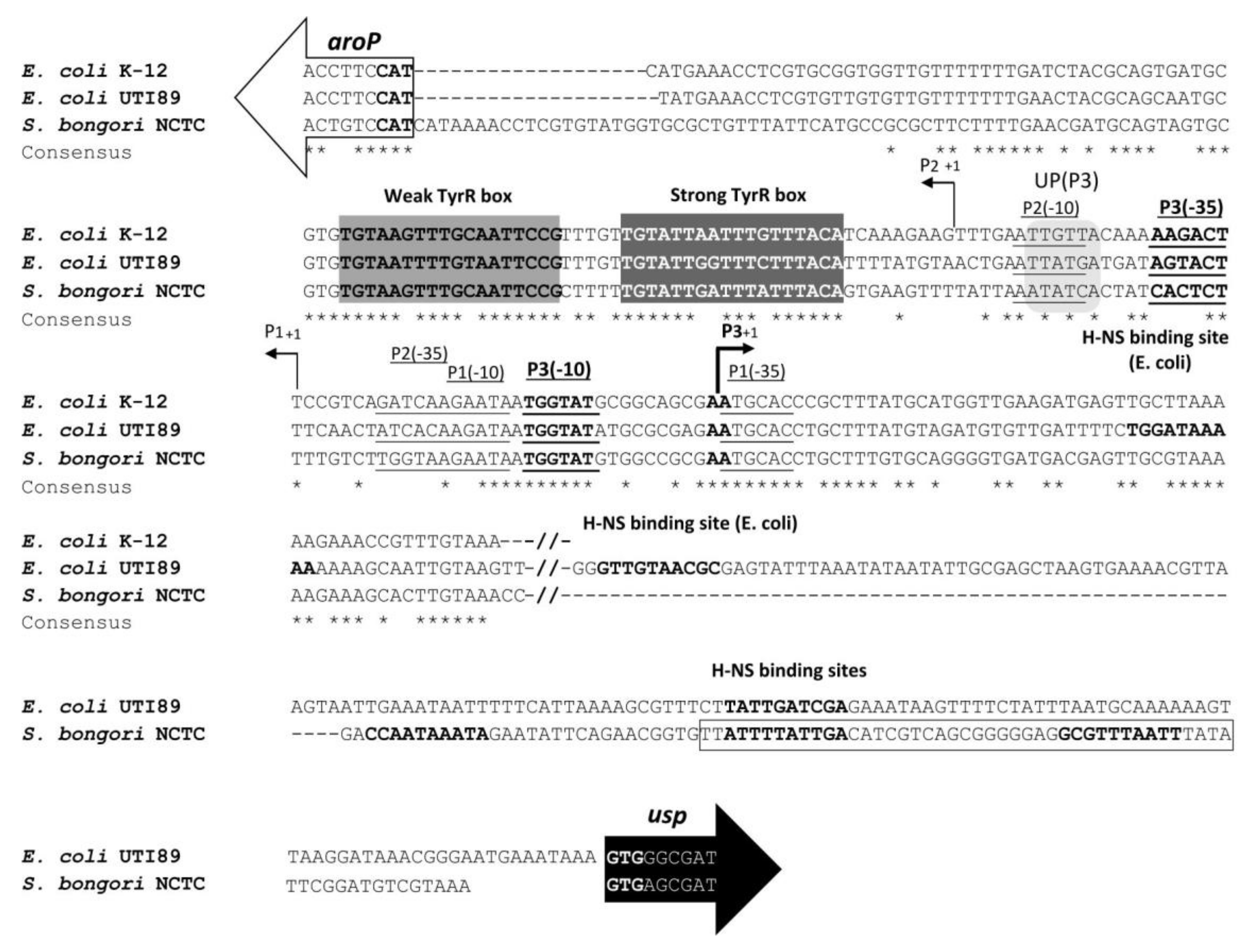 Microorganisms 08 00330 g002