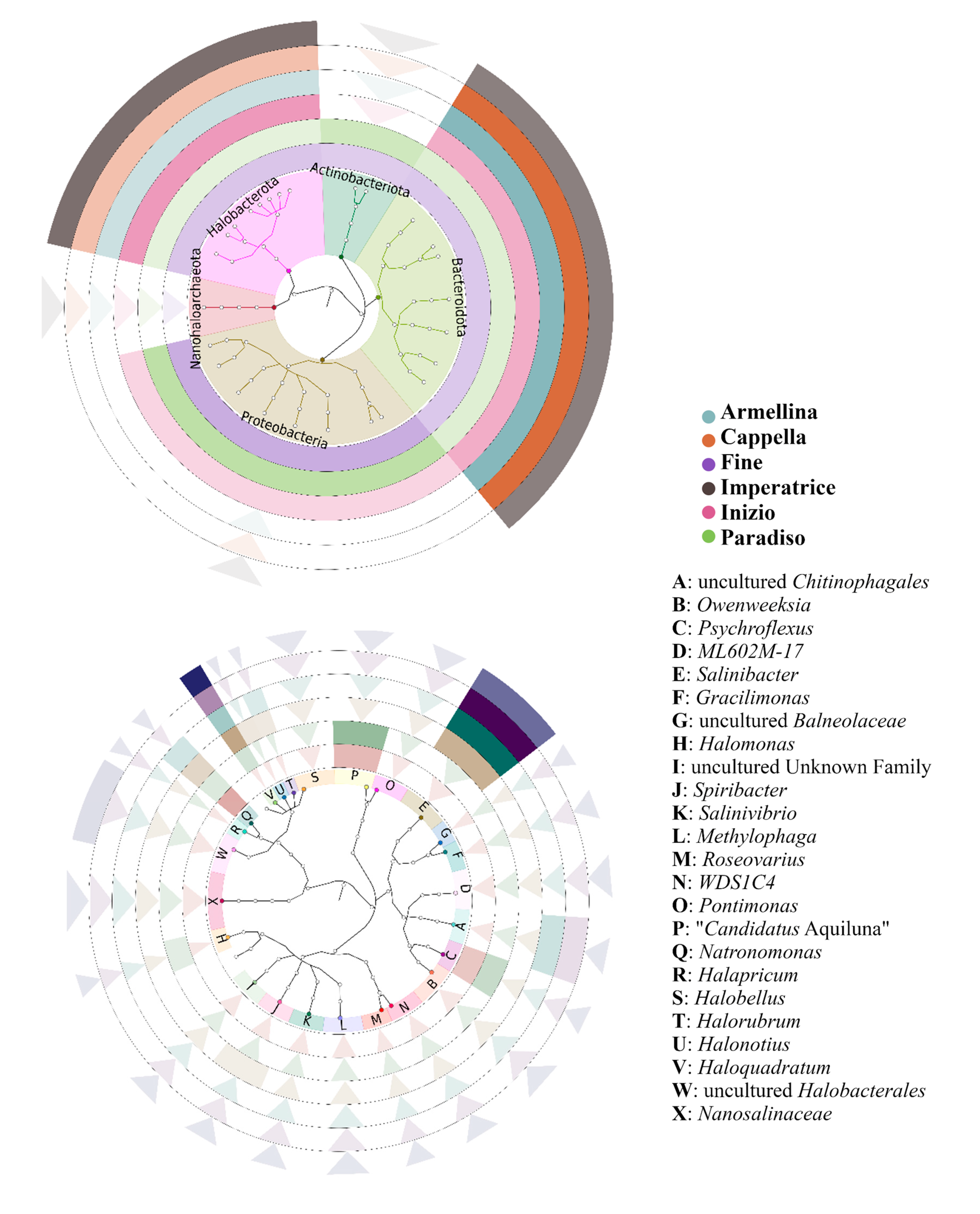Microorganisms 08 00936 g007