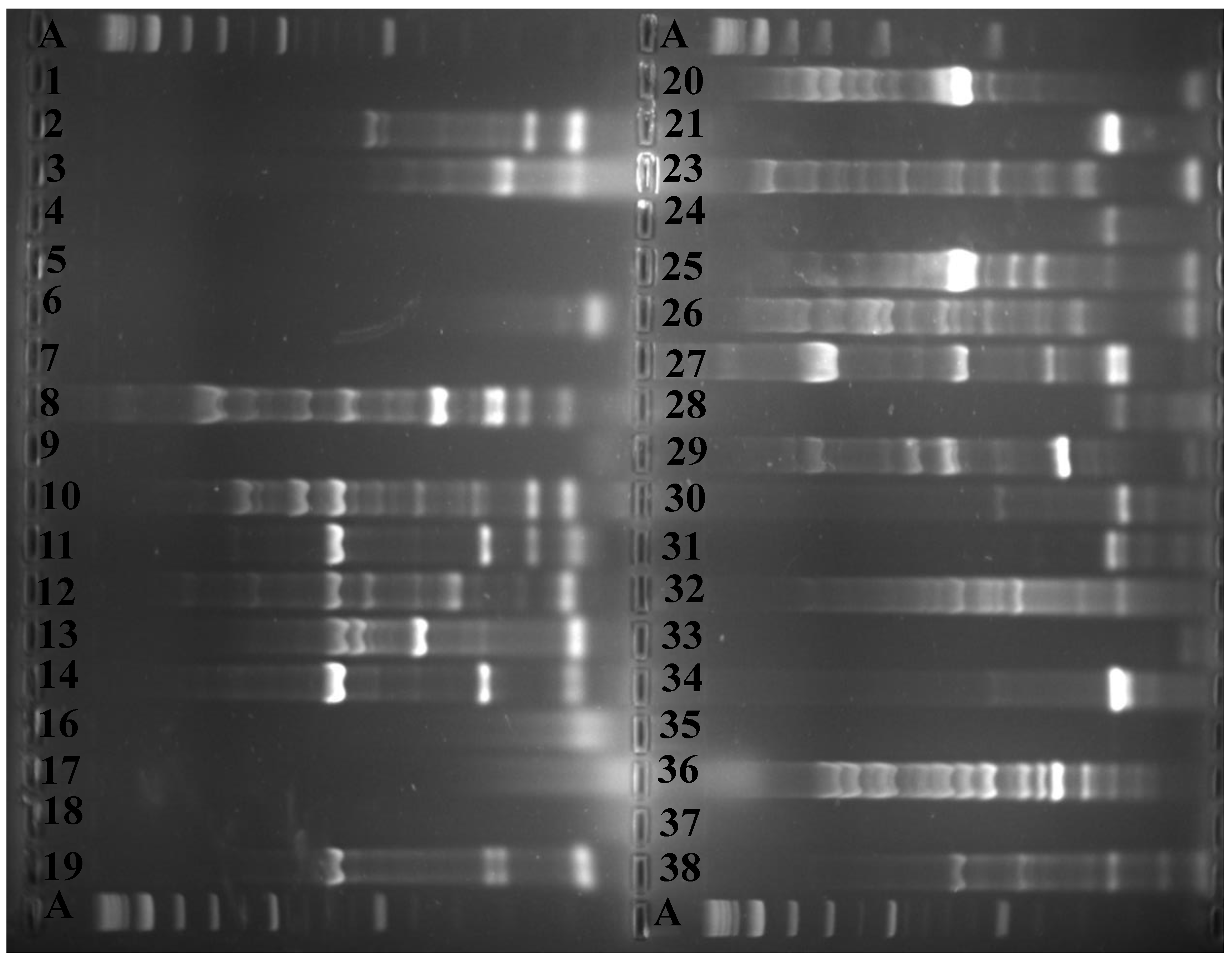 Microorganisms 08 01081 g003