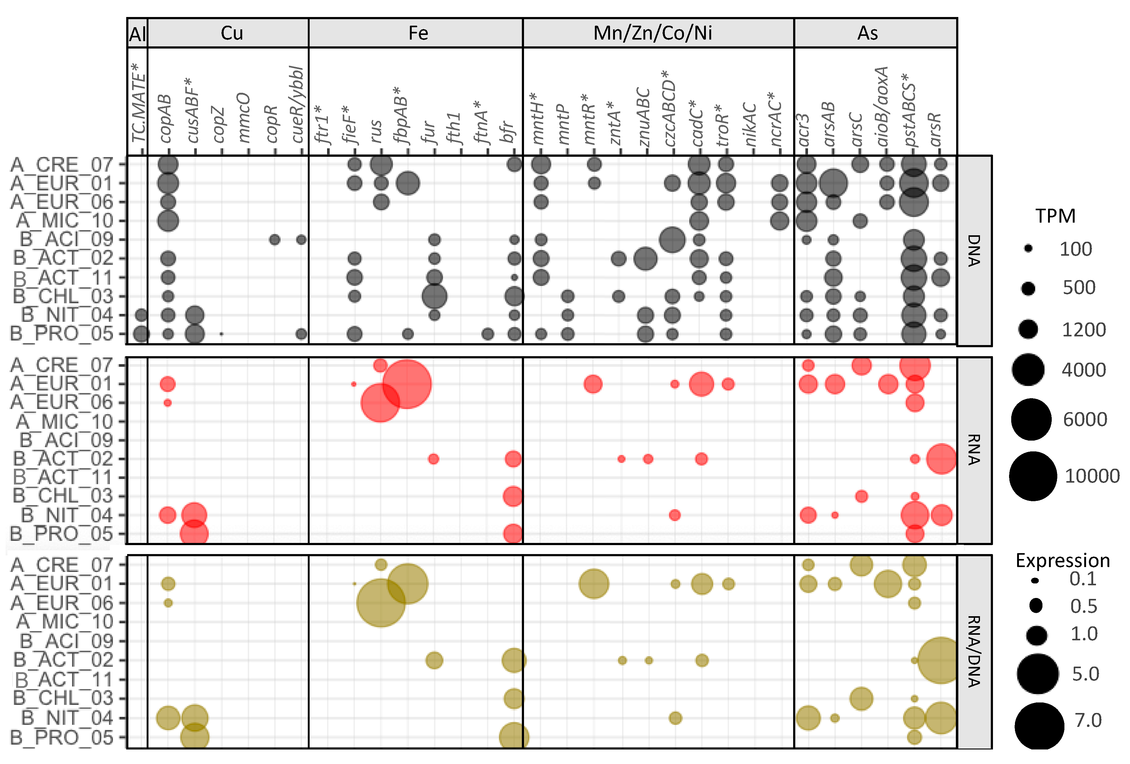 Microorganisms 08 01350 g005