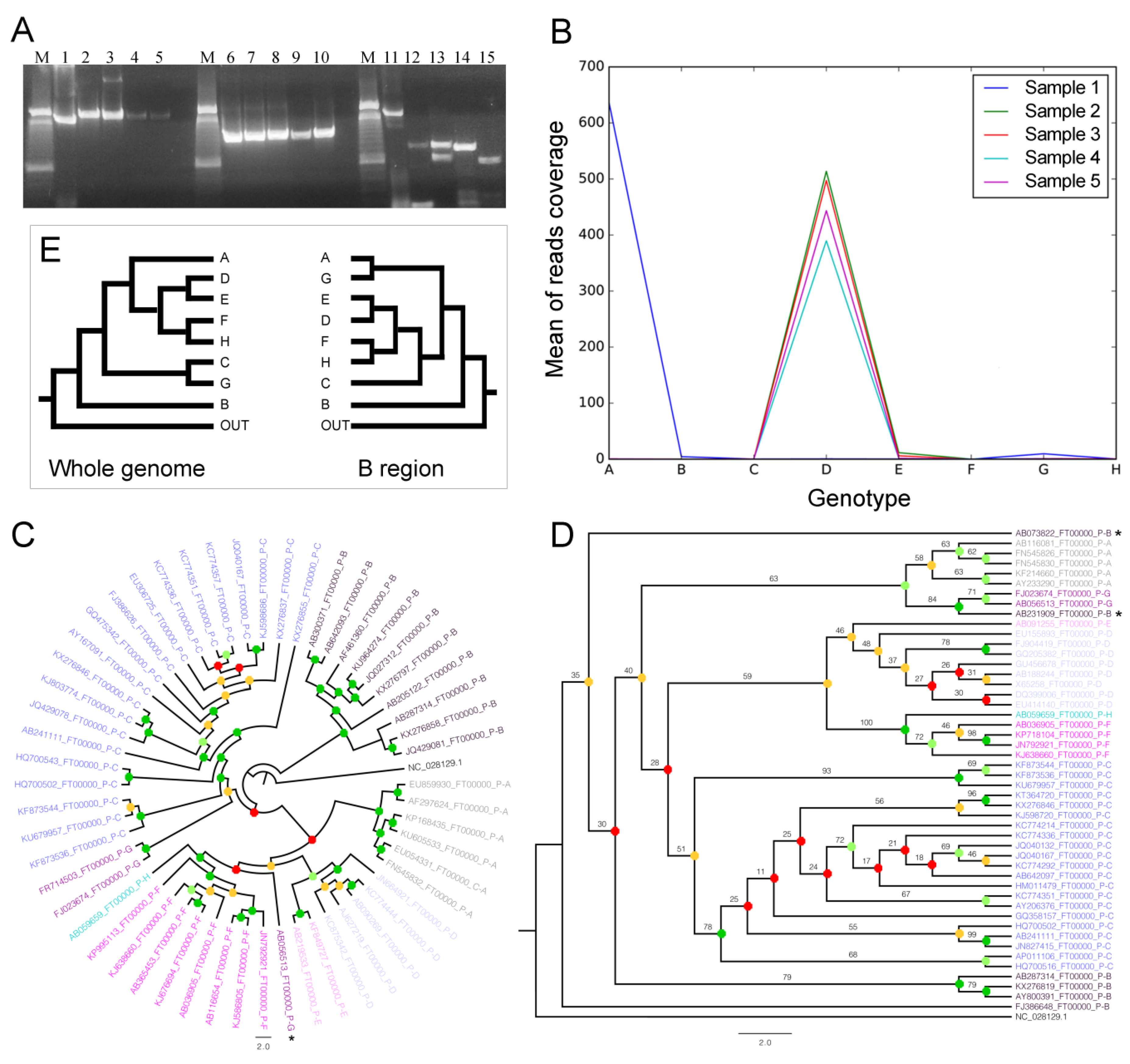 Microorganisms 08 01391 g001