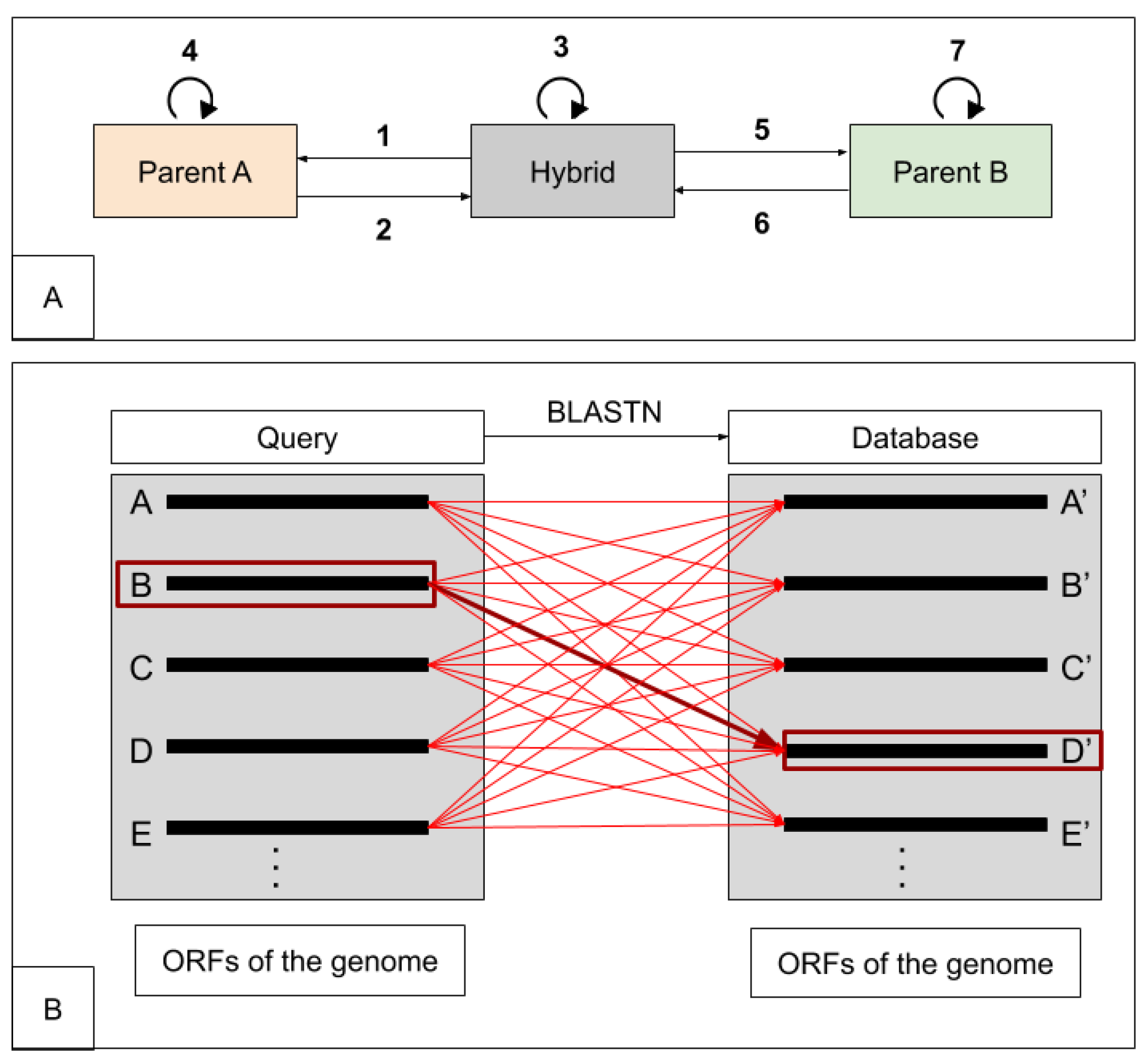 Microorganisms Free Full Text HybridMine A Pipeline For Allele