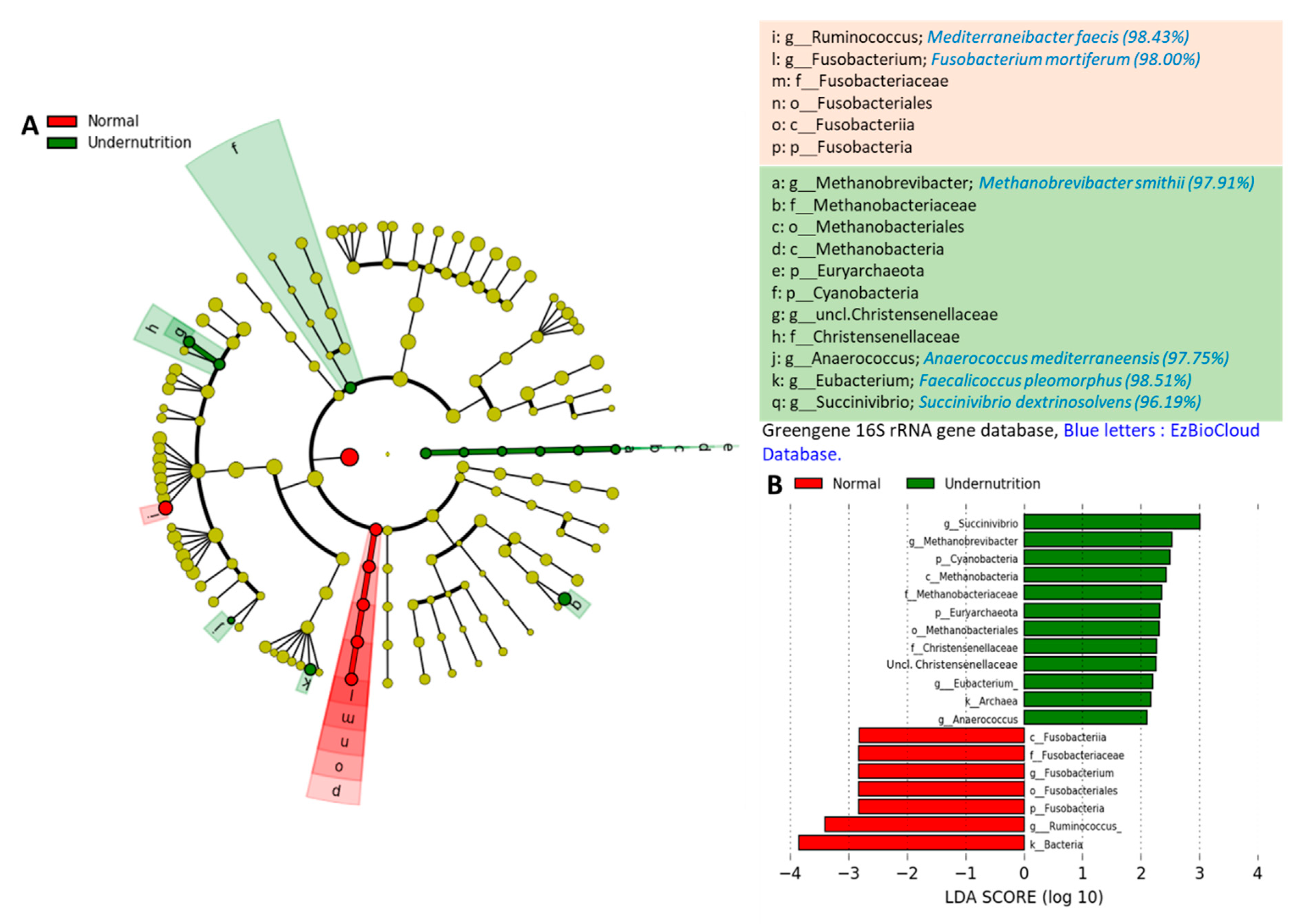 Microorganisms 09 00127 g004