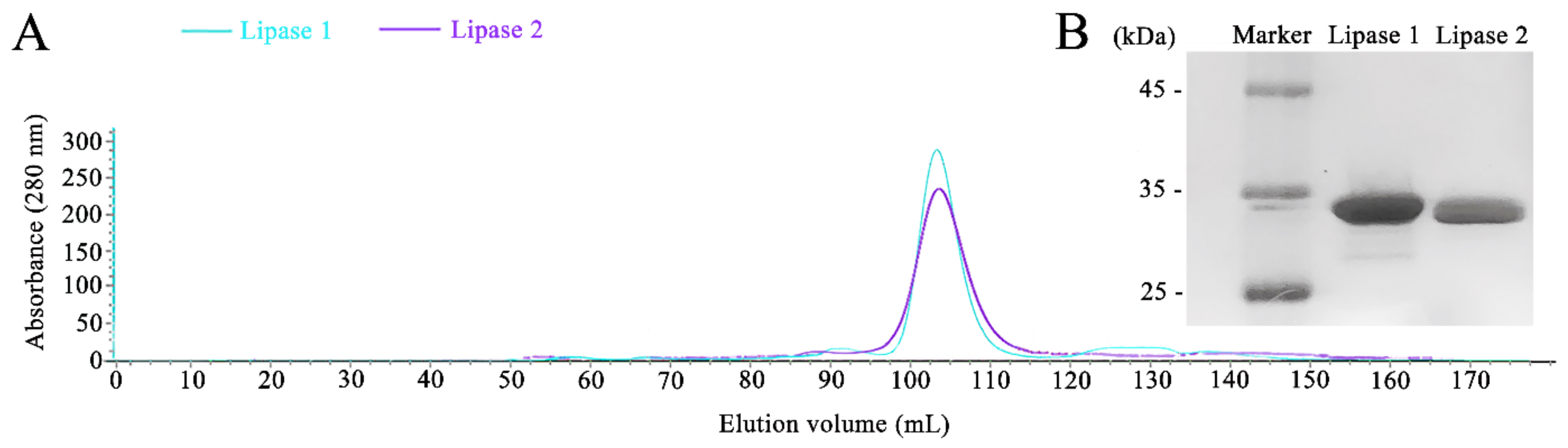 Microorganisms 09 00802 g002