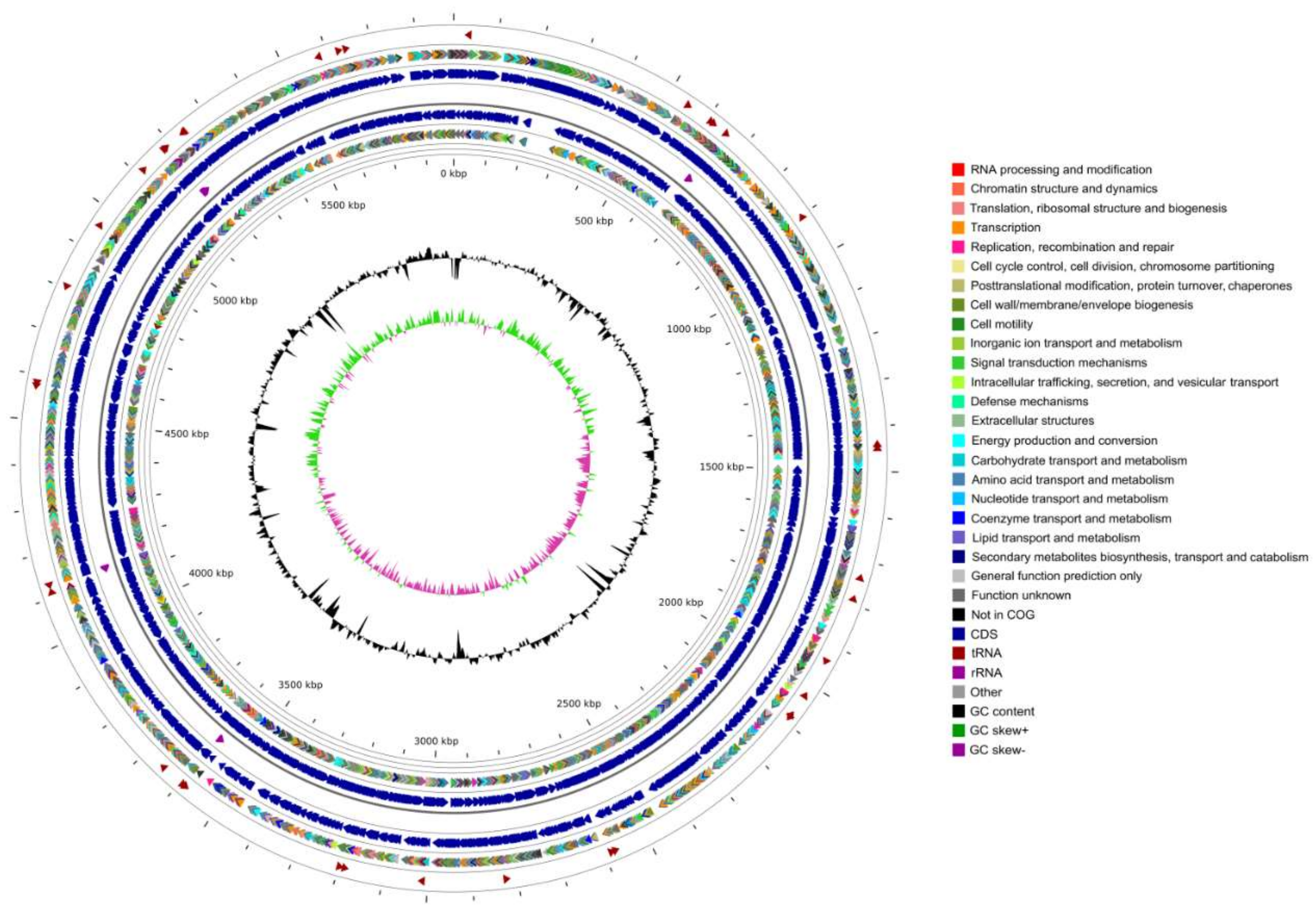 Microorganisms 09 01261 g003