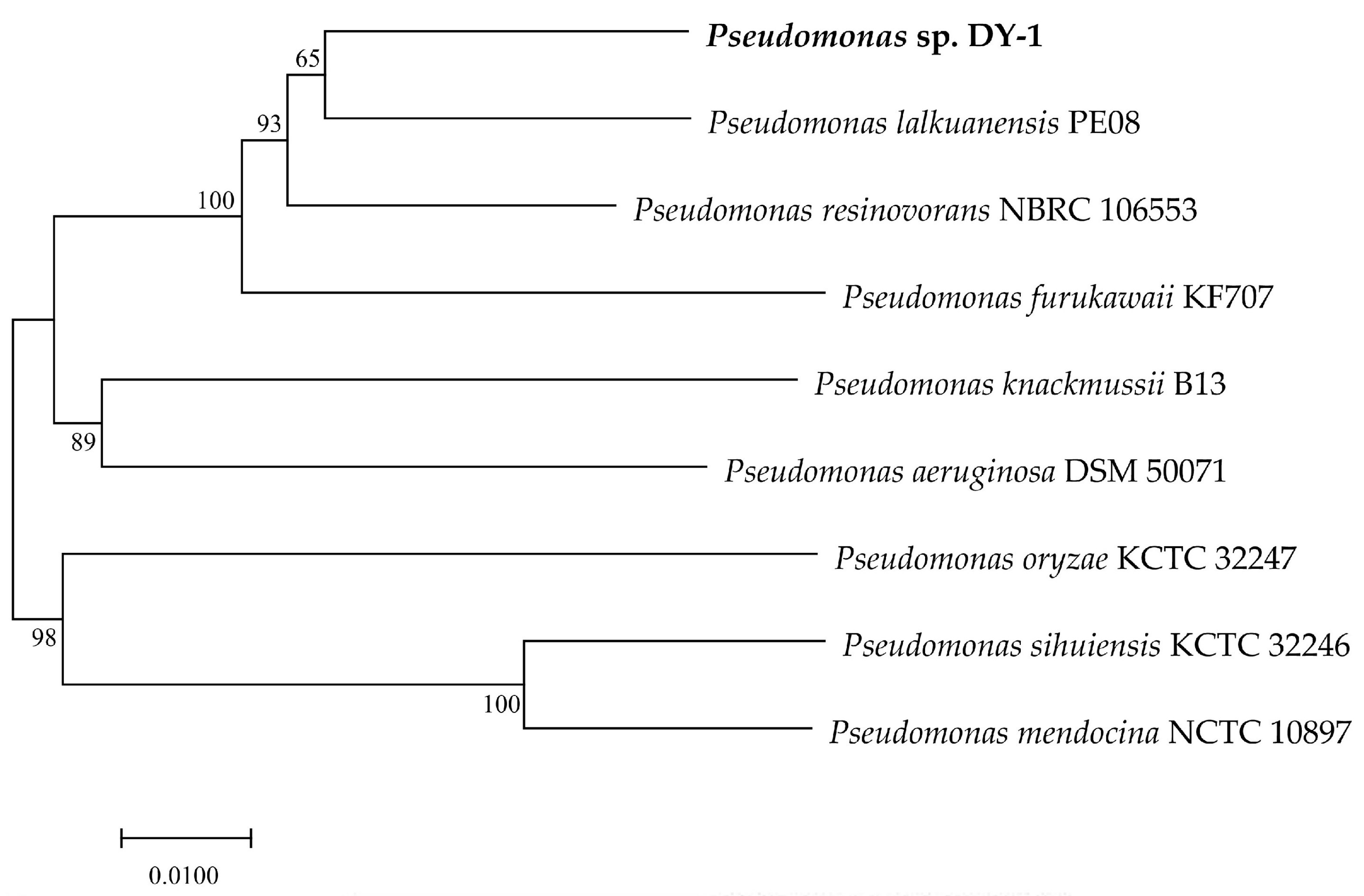 Microorganisms 09 01261 g004