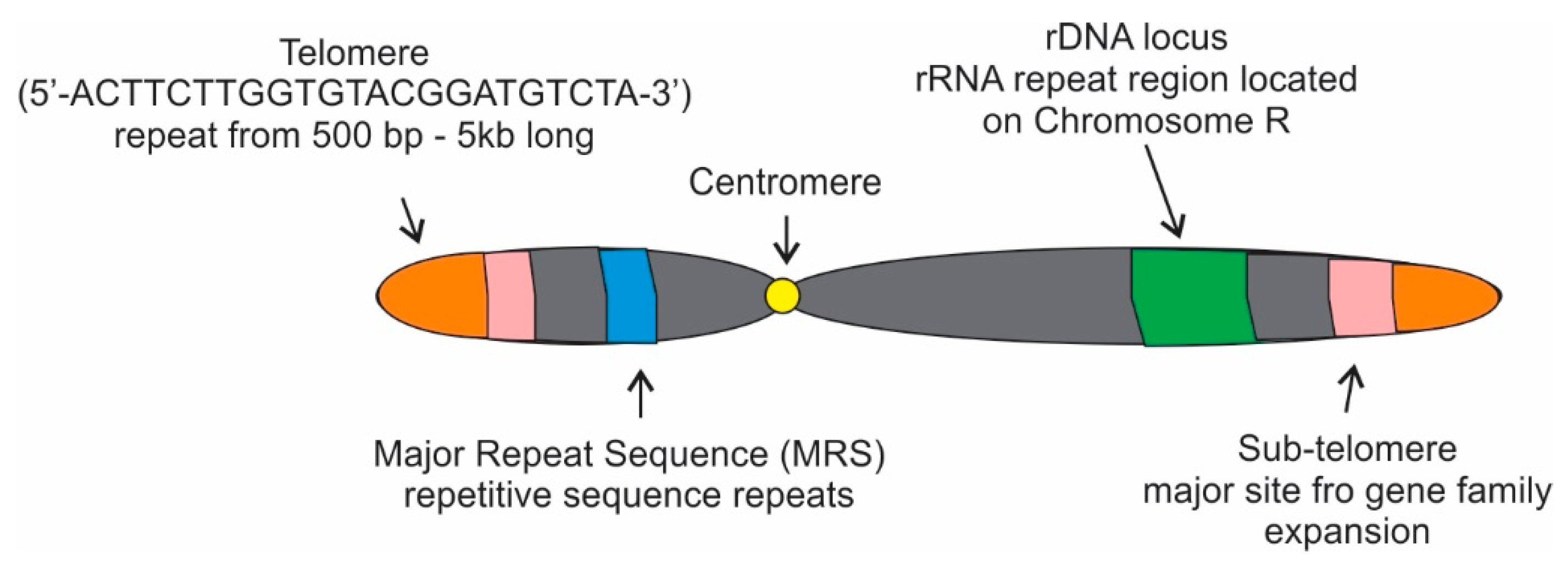 Microorganisms 09 01405 g002 Microorganisms 09 01405 g002
