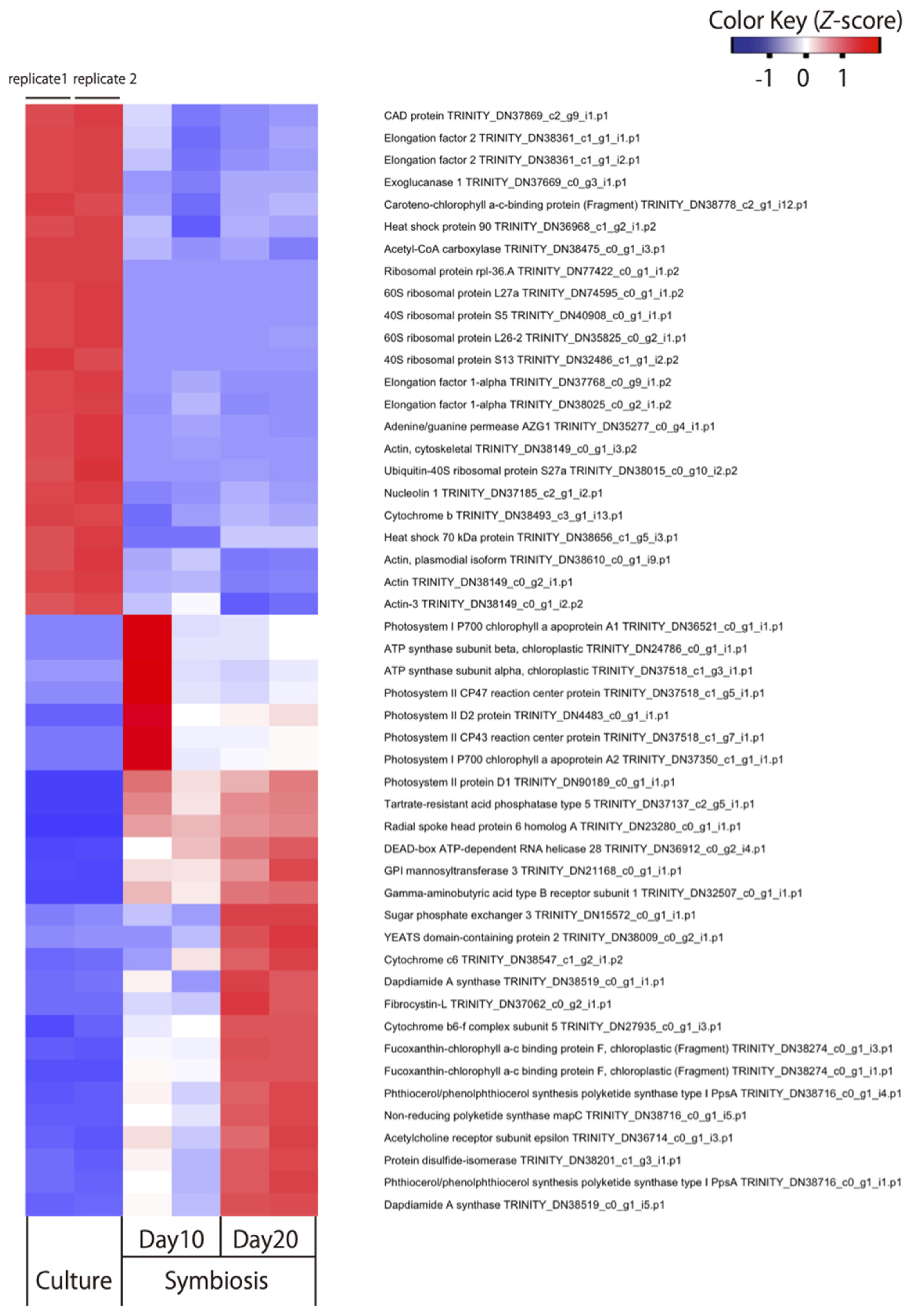 Microorganisms 09 01560 g001