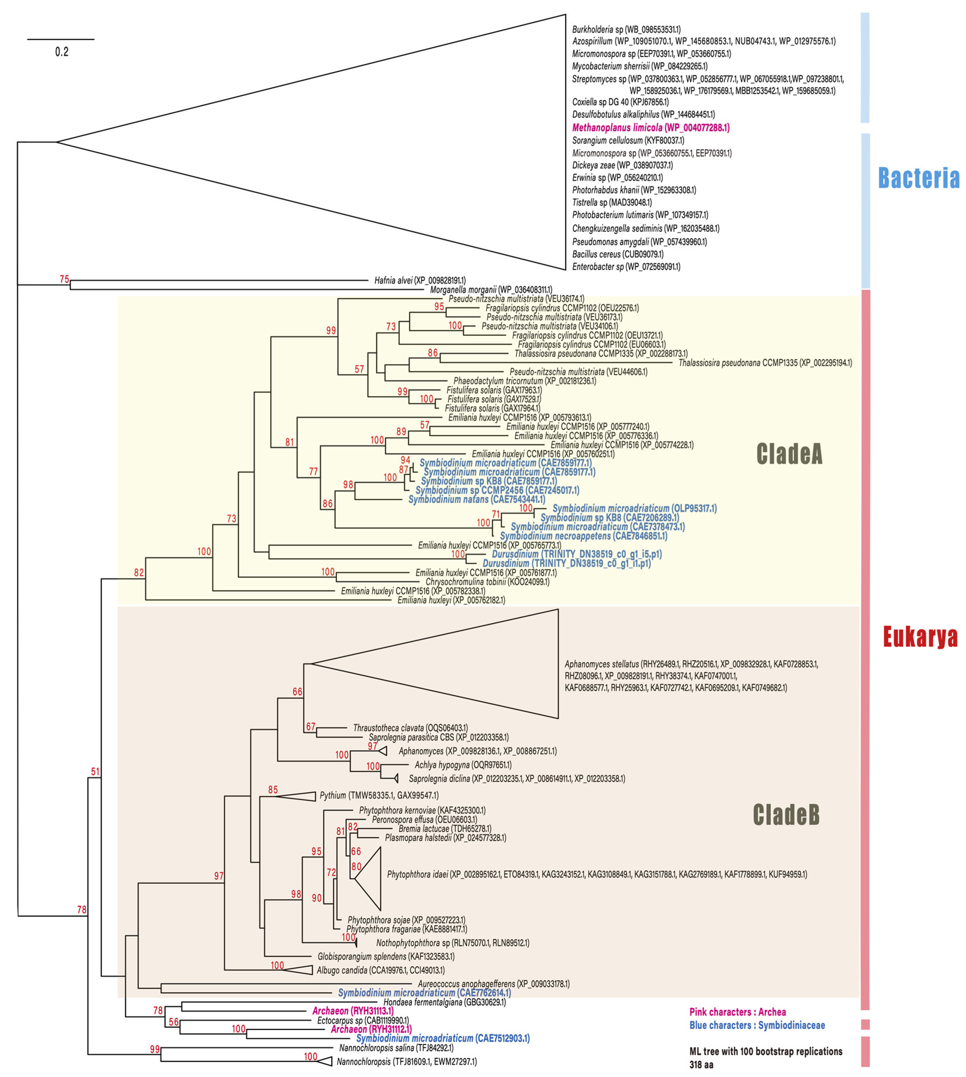 Microorganisms 09 01560 g002