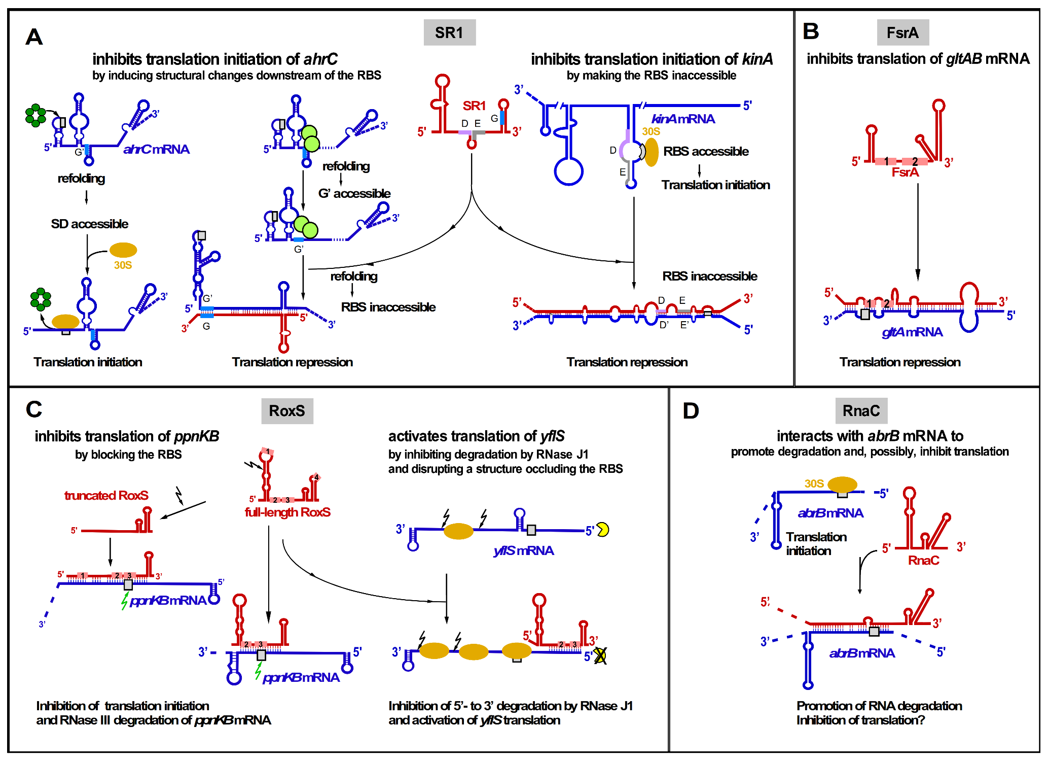Microorganisms 09 01865 g002