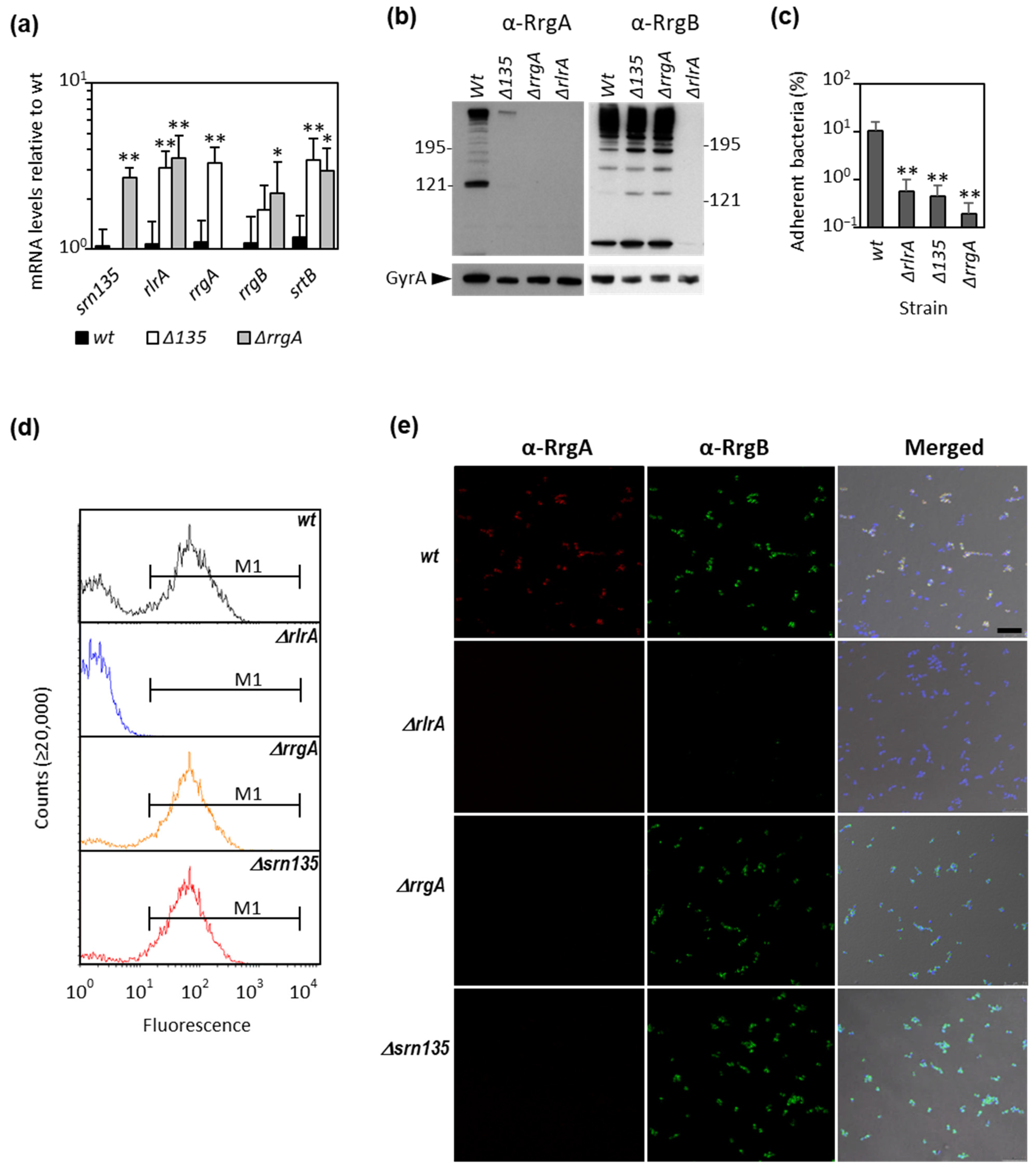 Microorganisms 09 01883 g002