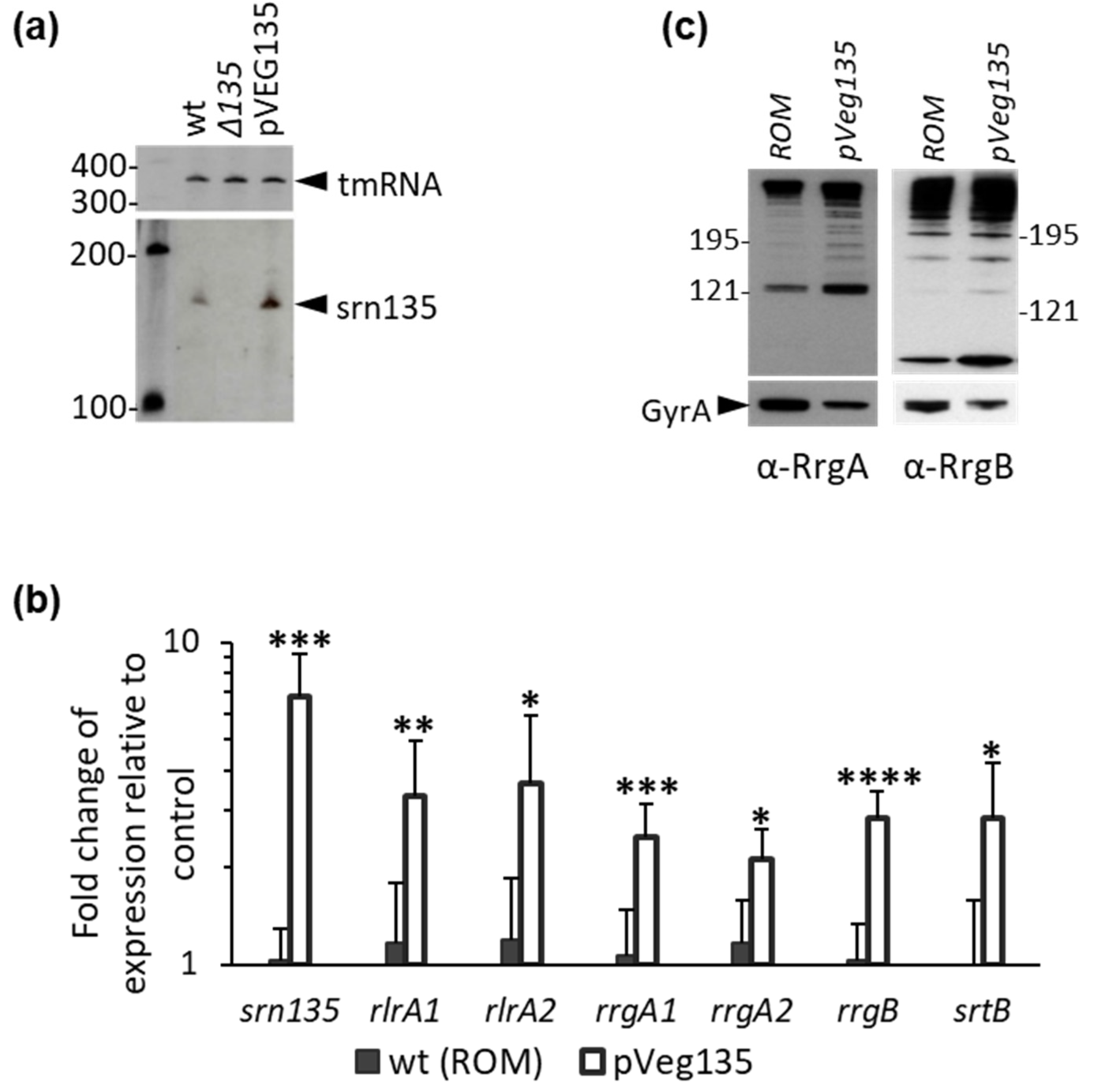 Microorganisms 09 01883 g004