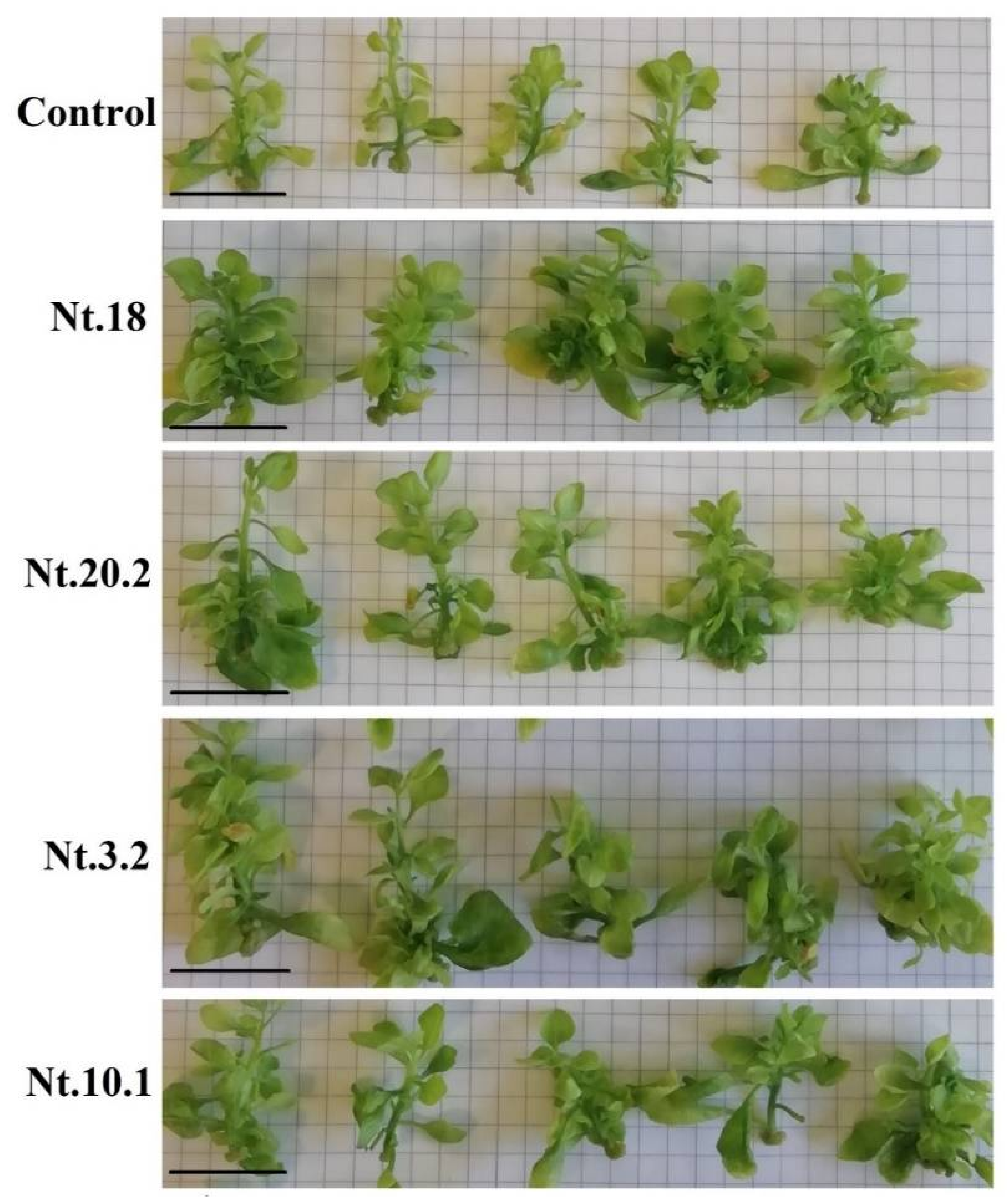 Microorganisms 09 01893 g0a1