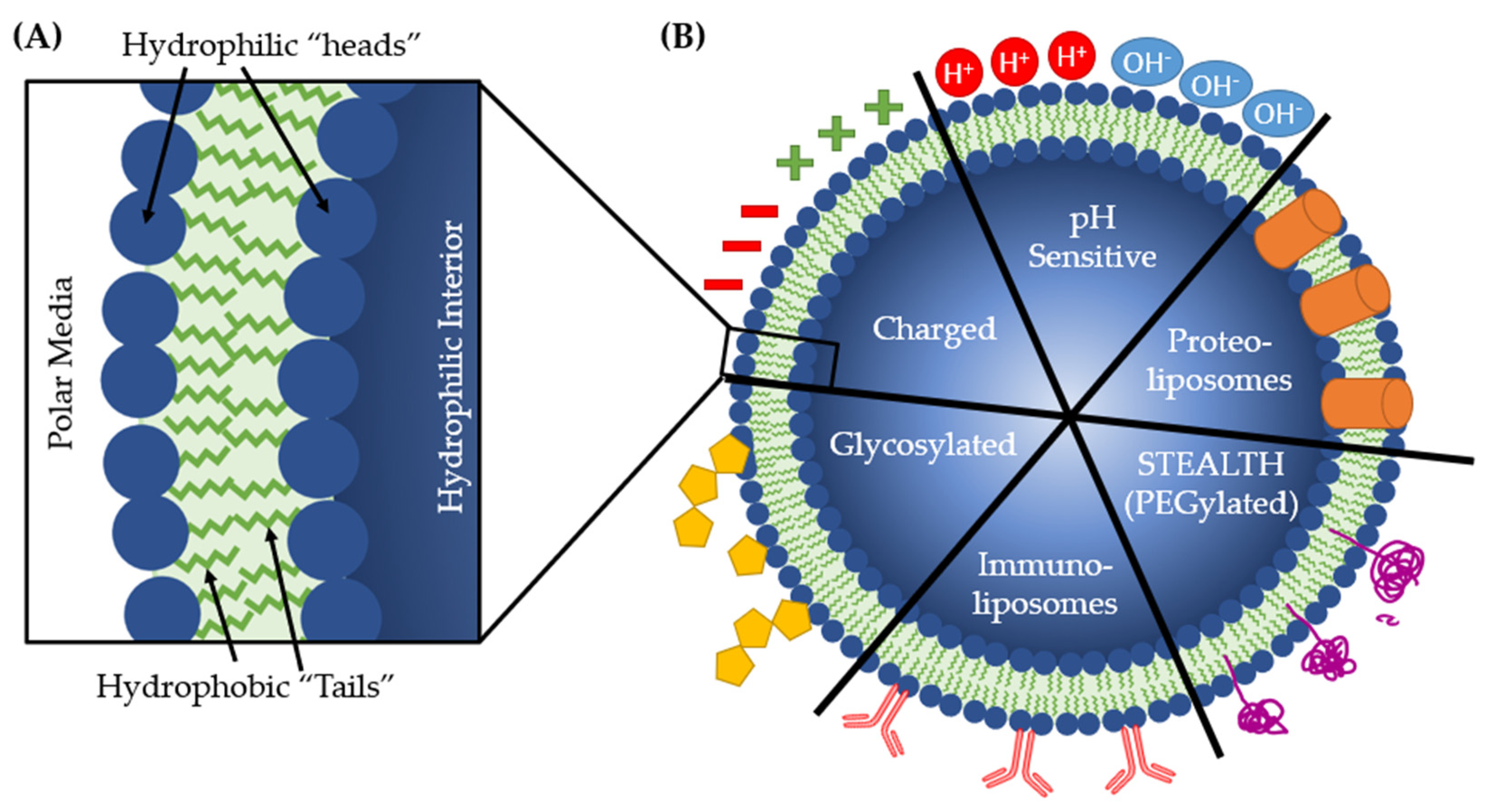 Microorganisms 09 02049 g007 Microorganisms 09 02049 g007