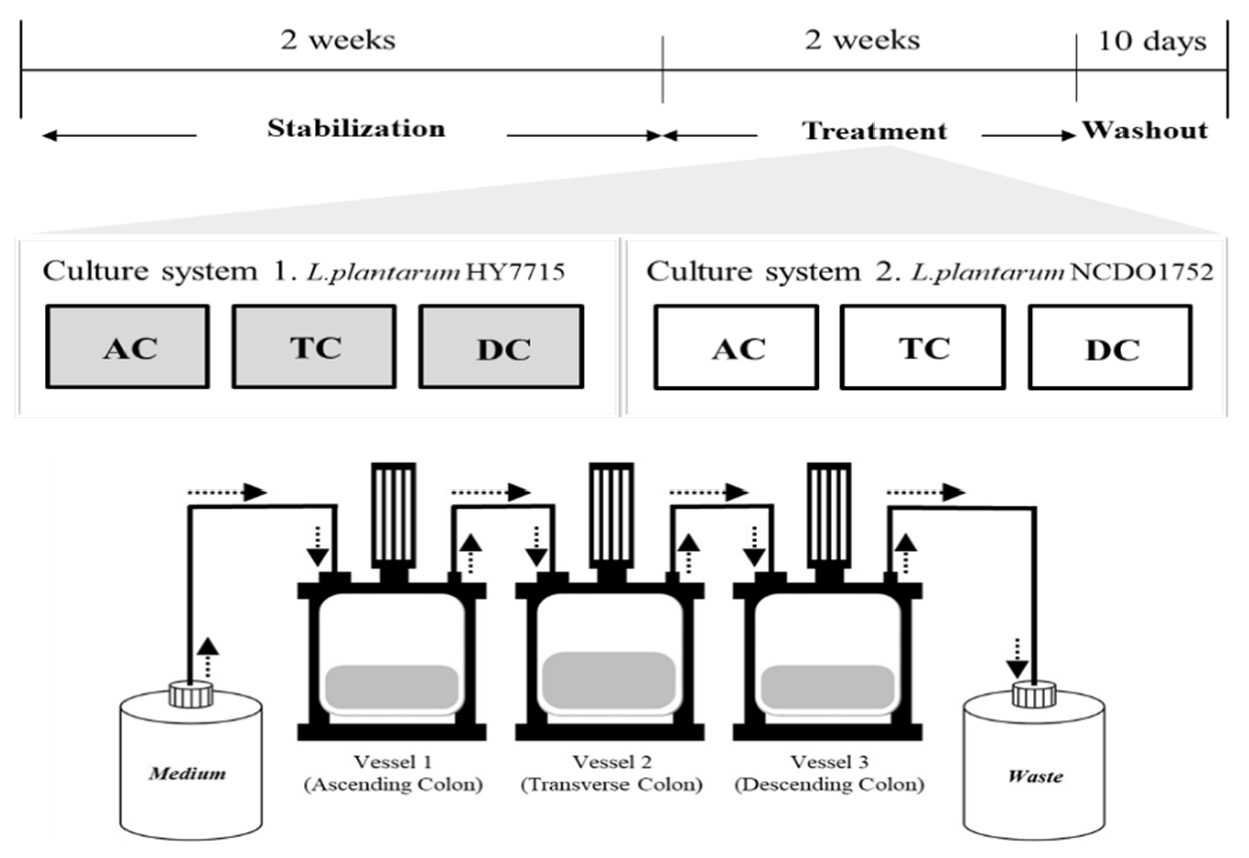 Microorganisms 09 02478 g001