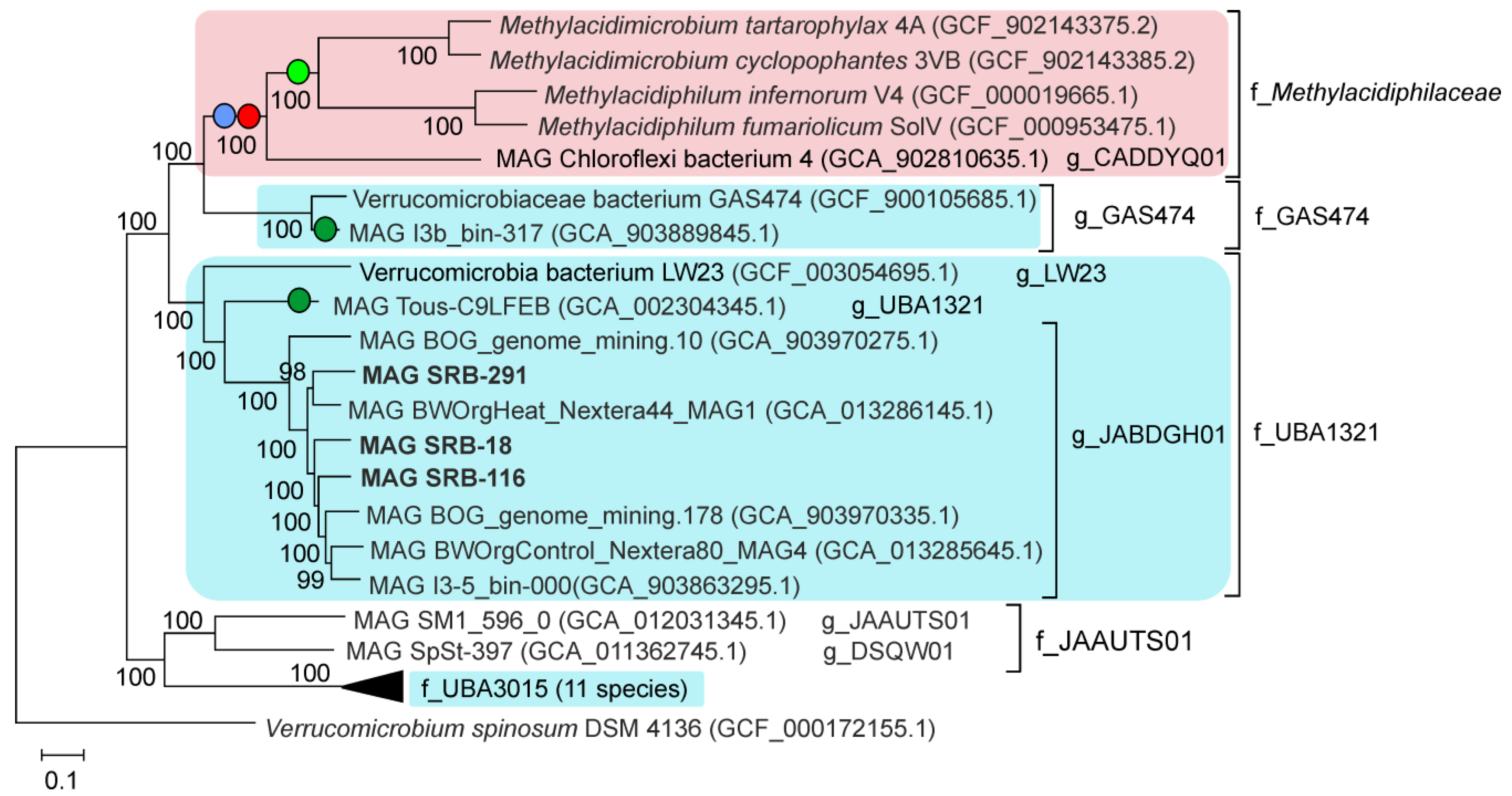 Microorganisms 09 02566 g004