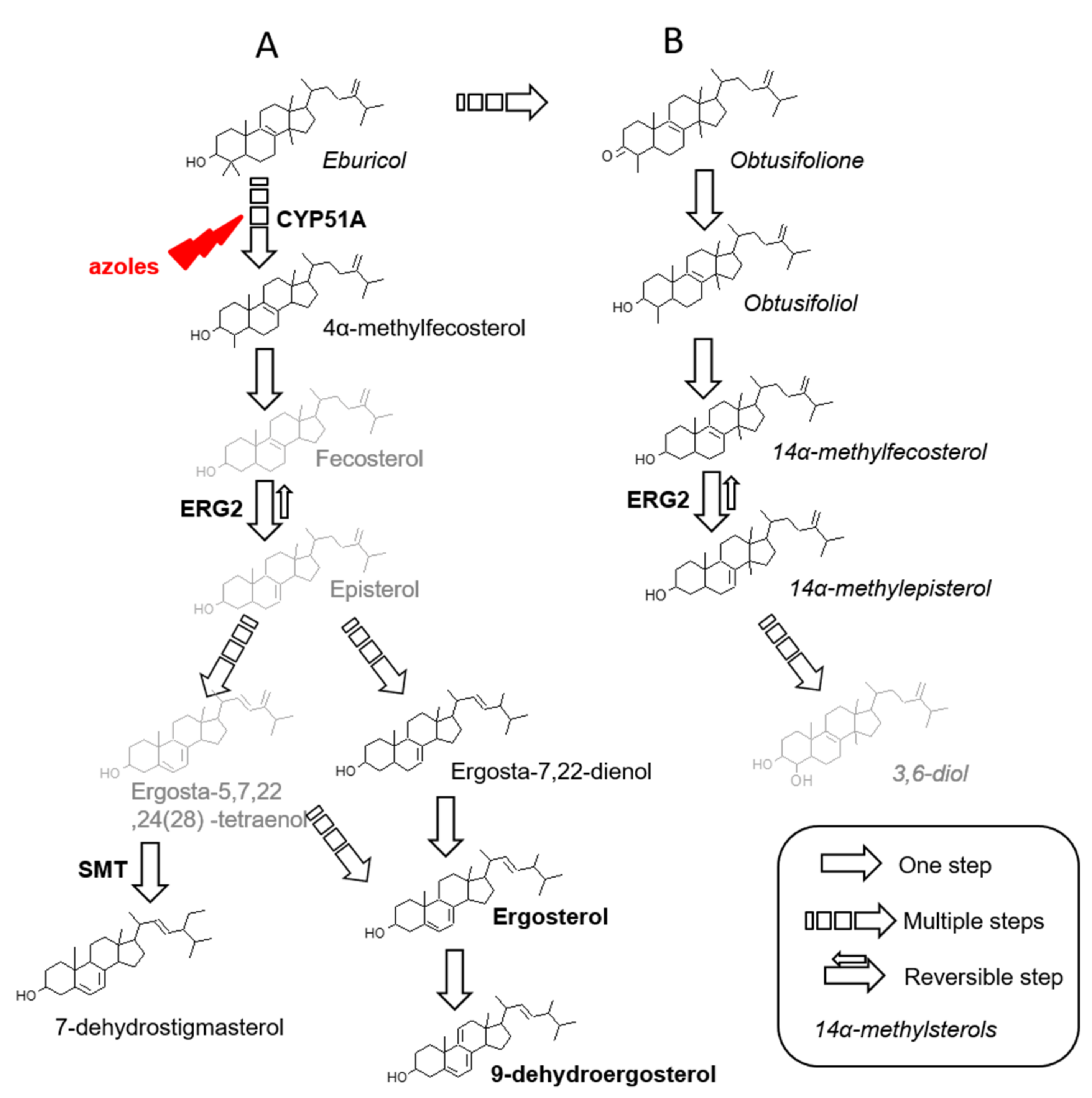 Microorganisms 10 00104 g002