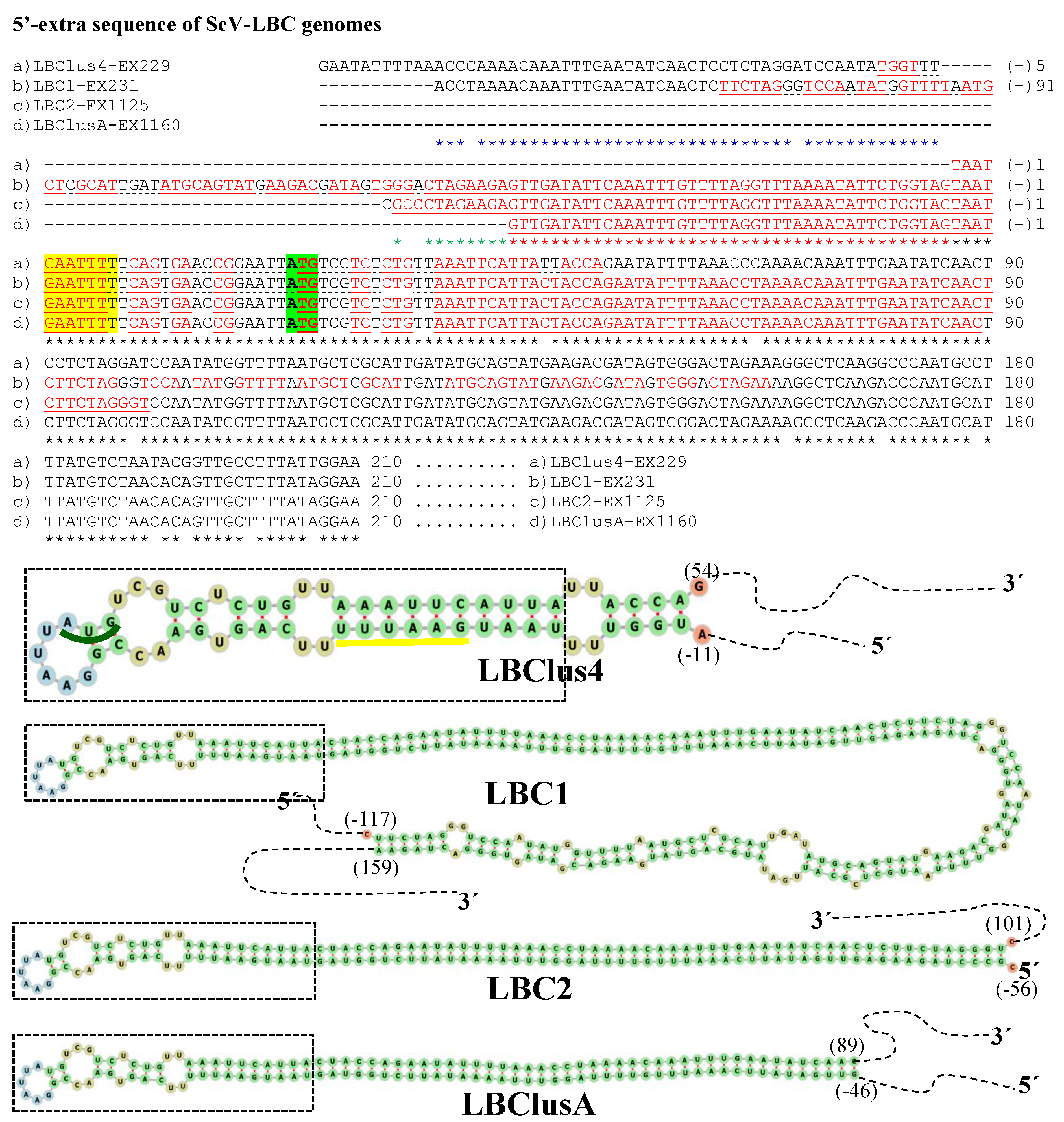 Microorganisms 10 00173 g003