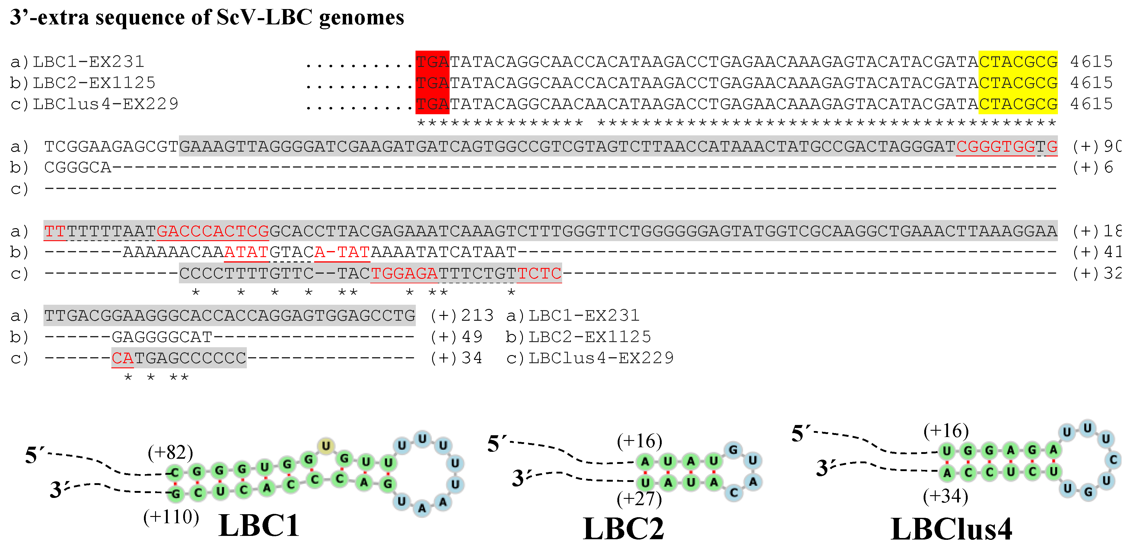 Microorganisms 10 00173 g005