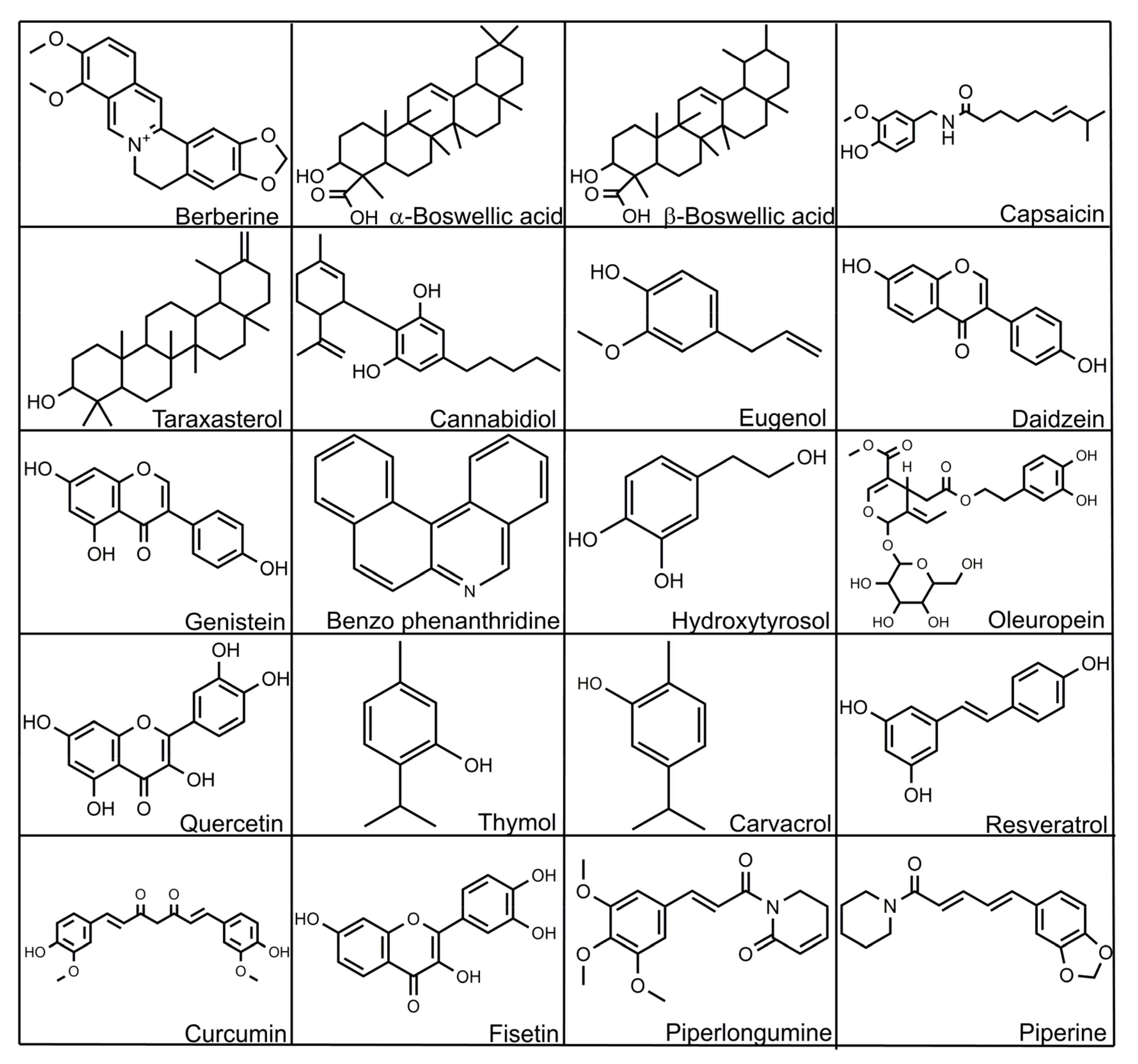 Microorganisms 10 00395 g005