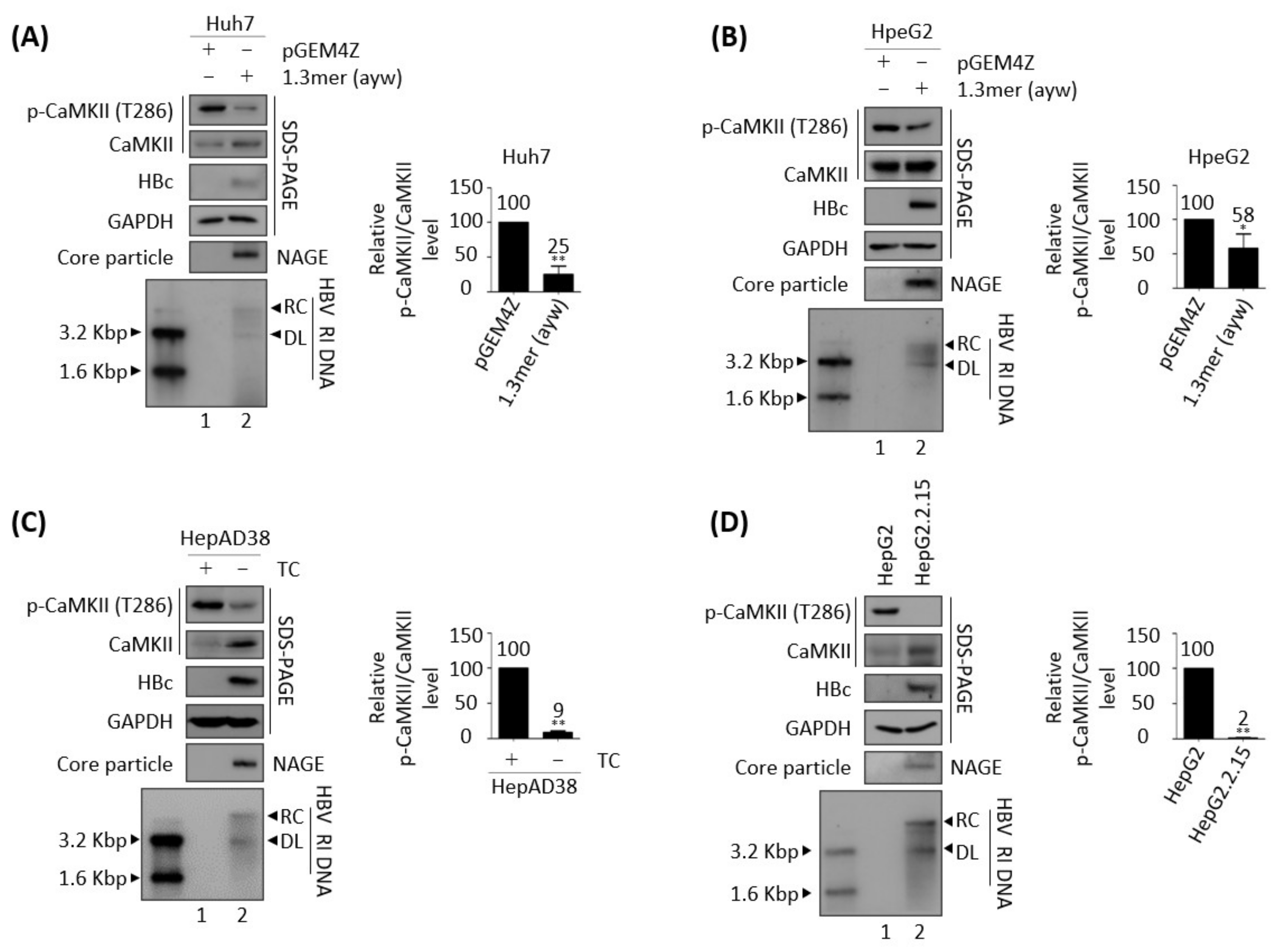 Microorganisms 10 00498 g001
