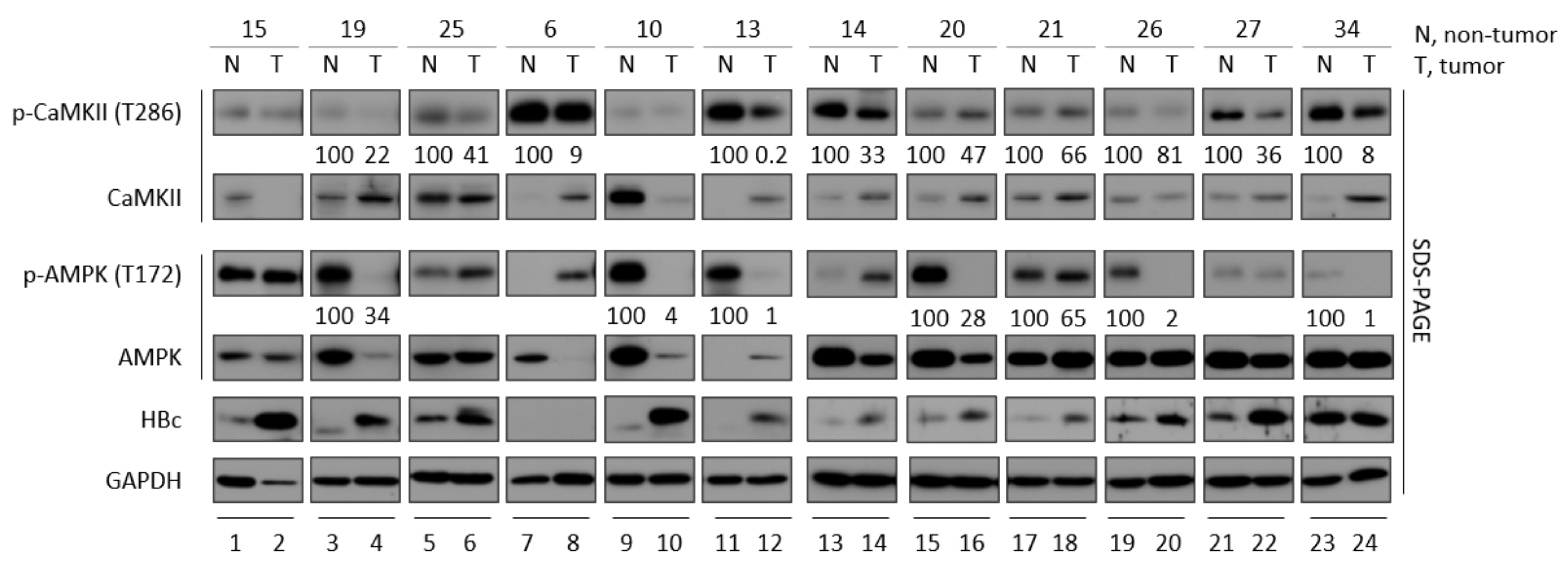 Microorganisms 10 00498 g002