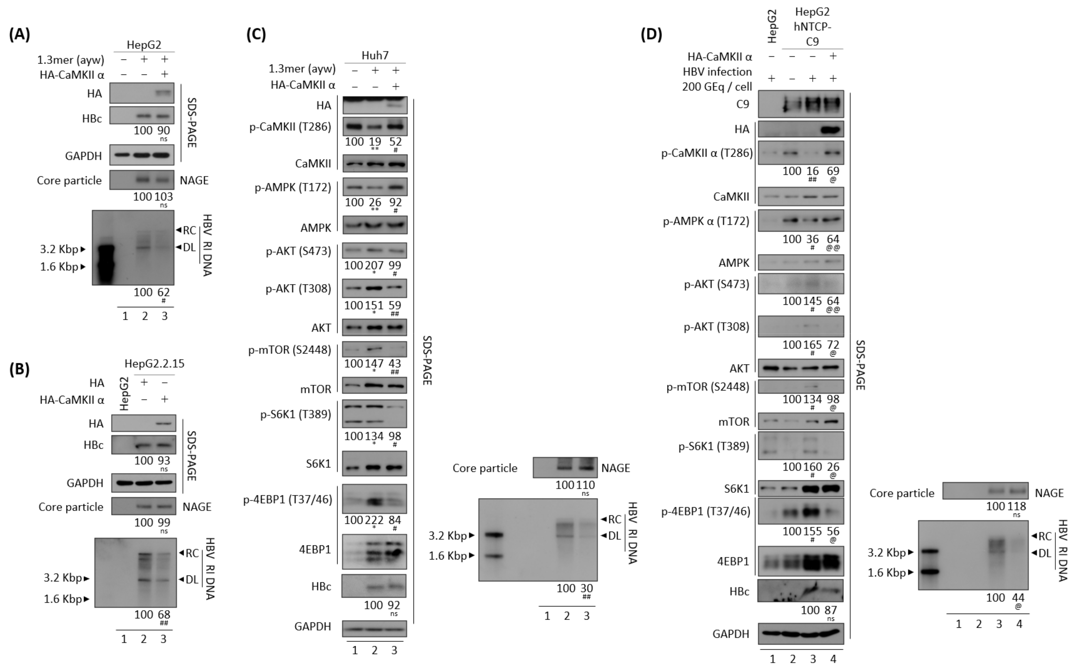 Microorganisms 10 00498 g004