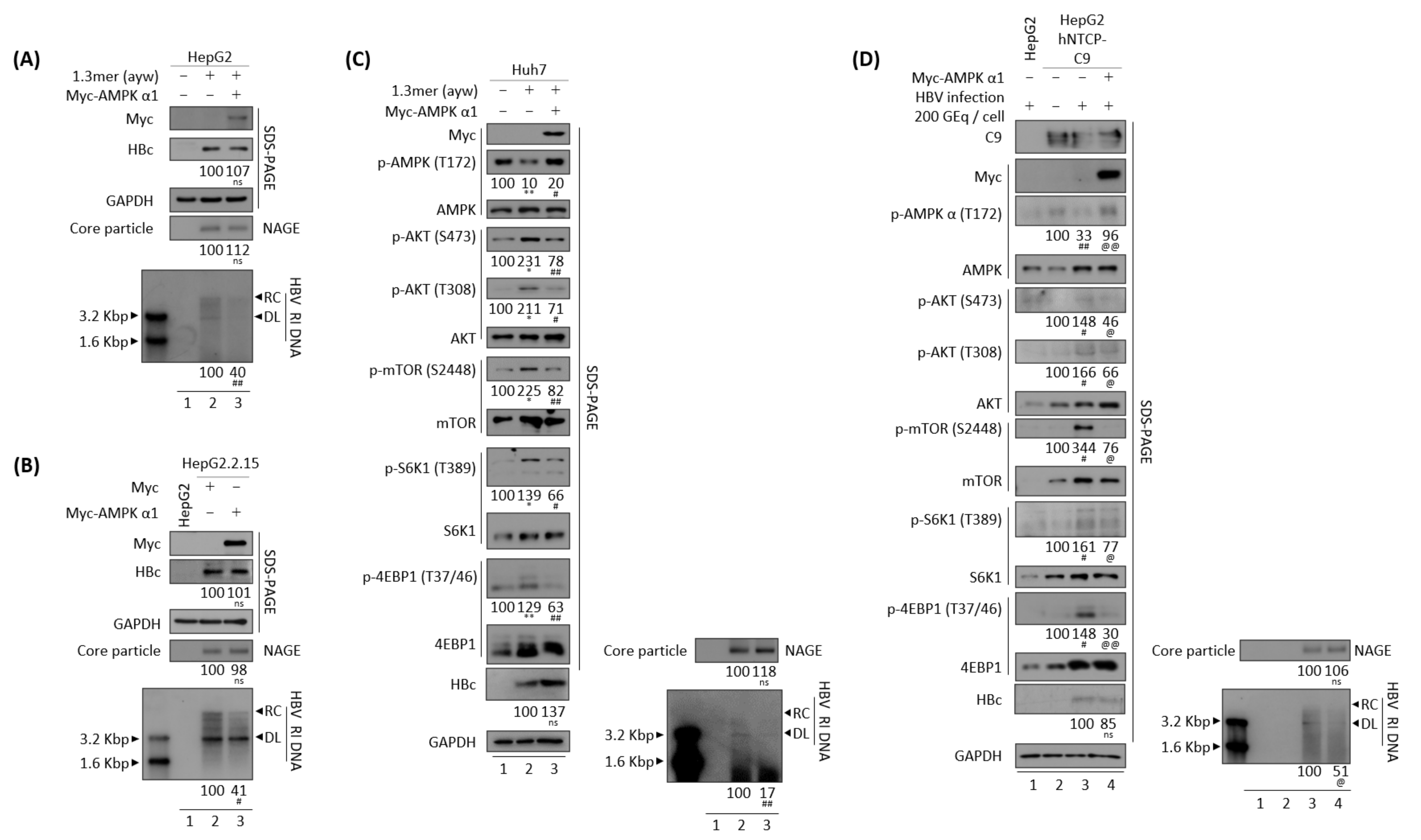 Microorganisms 10 00498 g005
