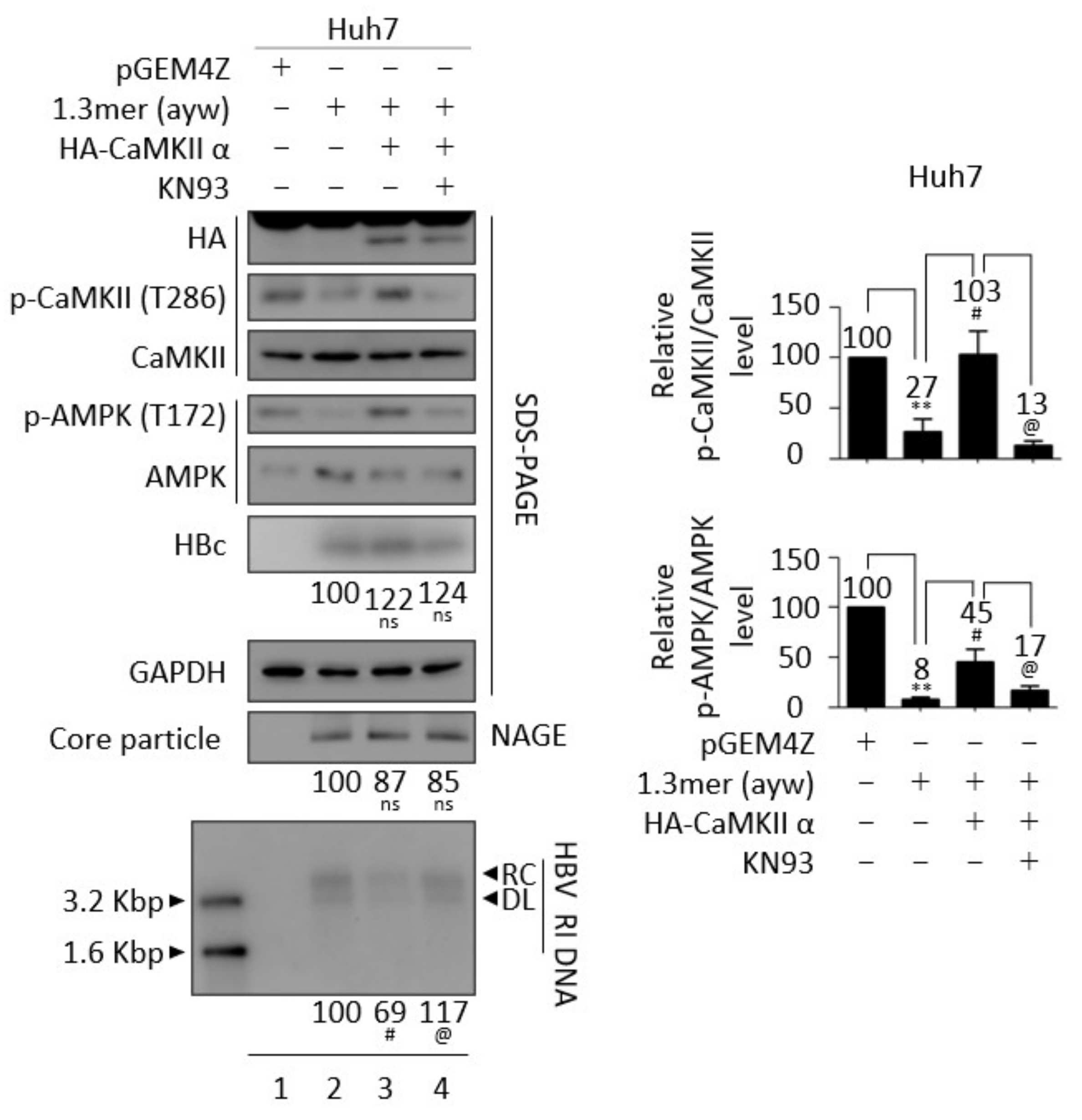 Microorganisms 10 00498 g006