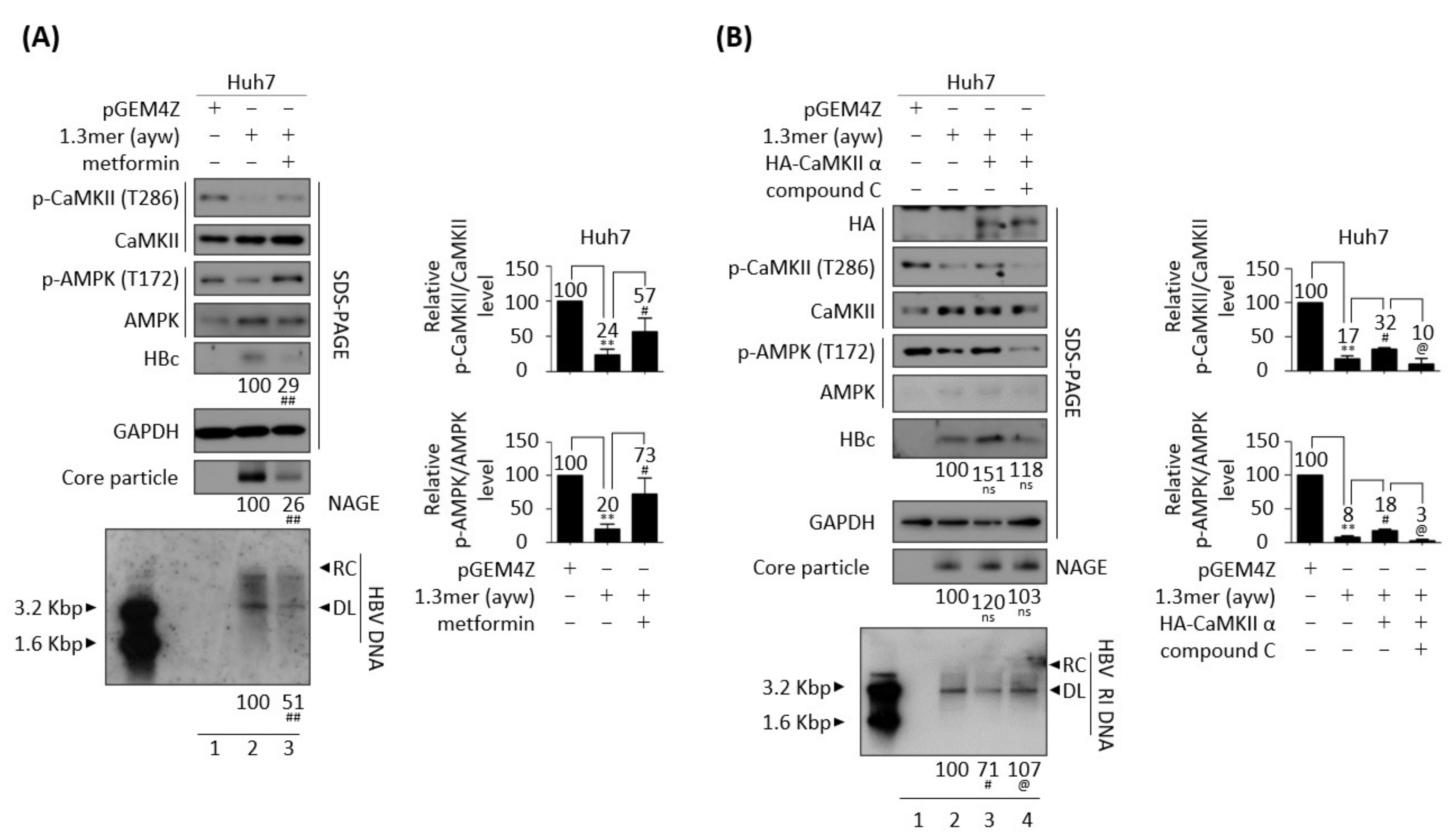 Microorganisms 10 00498 g007