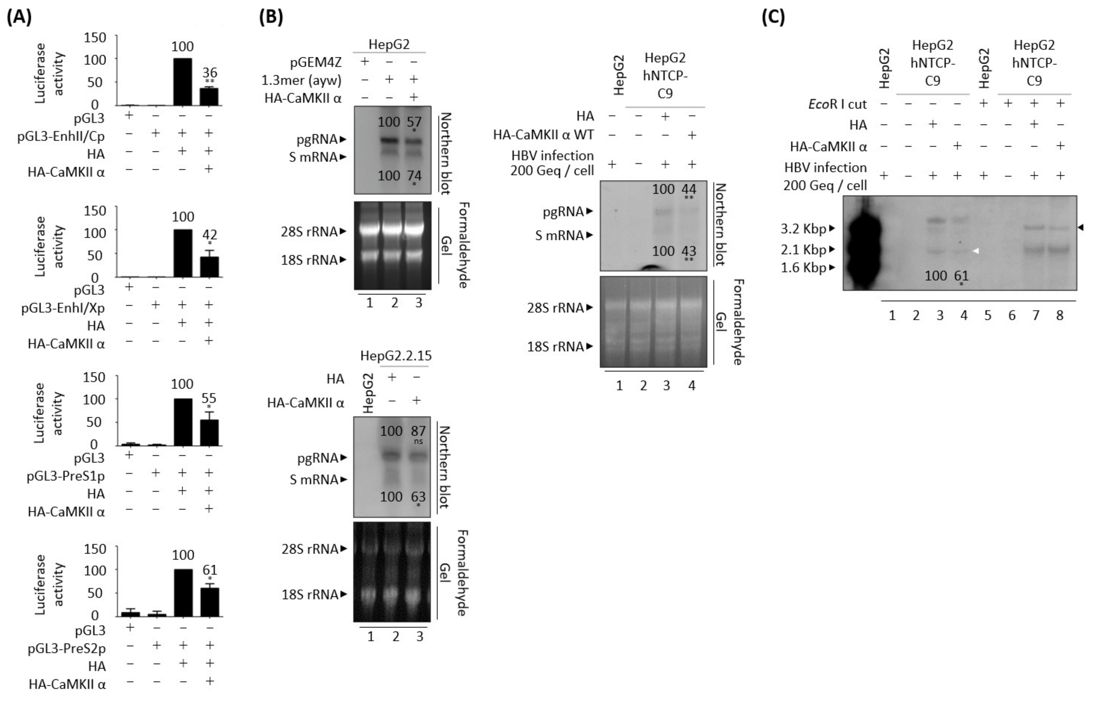 Microorganisms 10 00498 g009