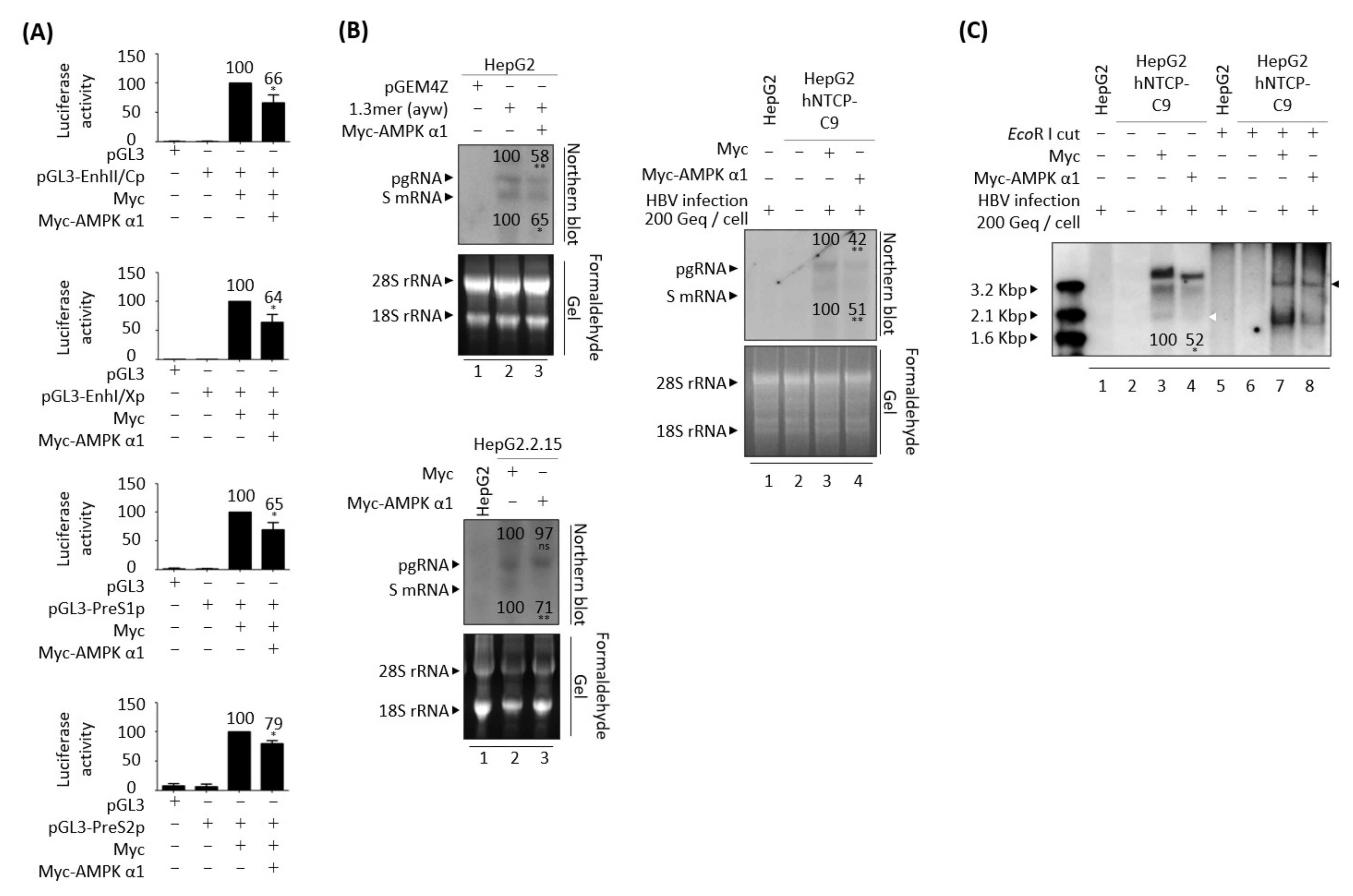 Microorganisms 10 00498 g010
