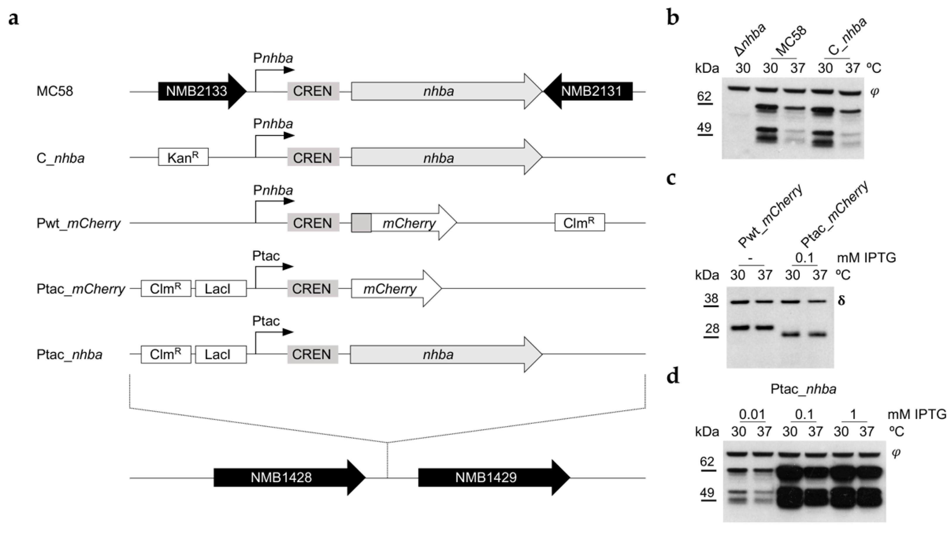 Microorganisms 10 00834 g003