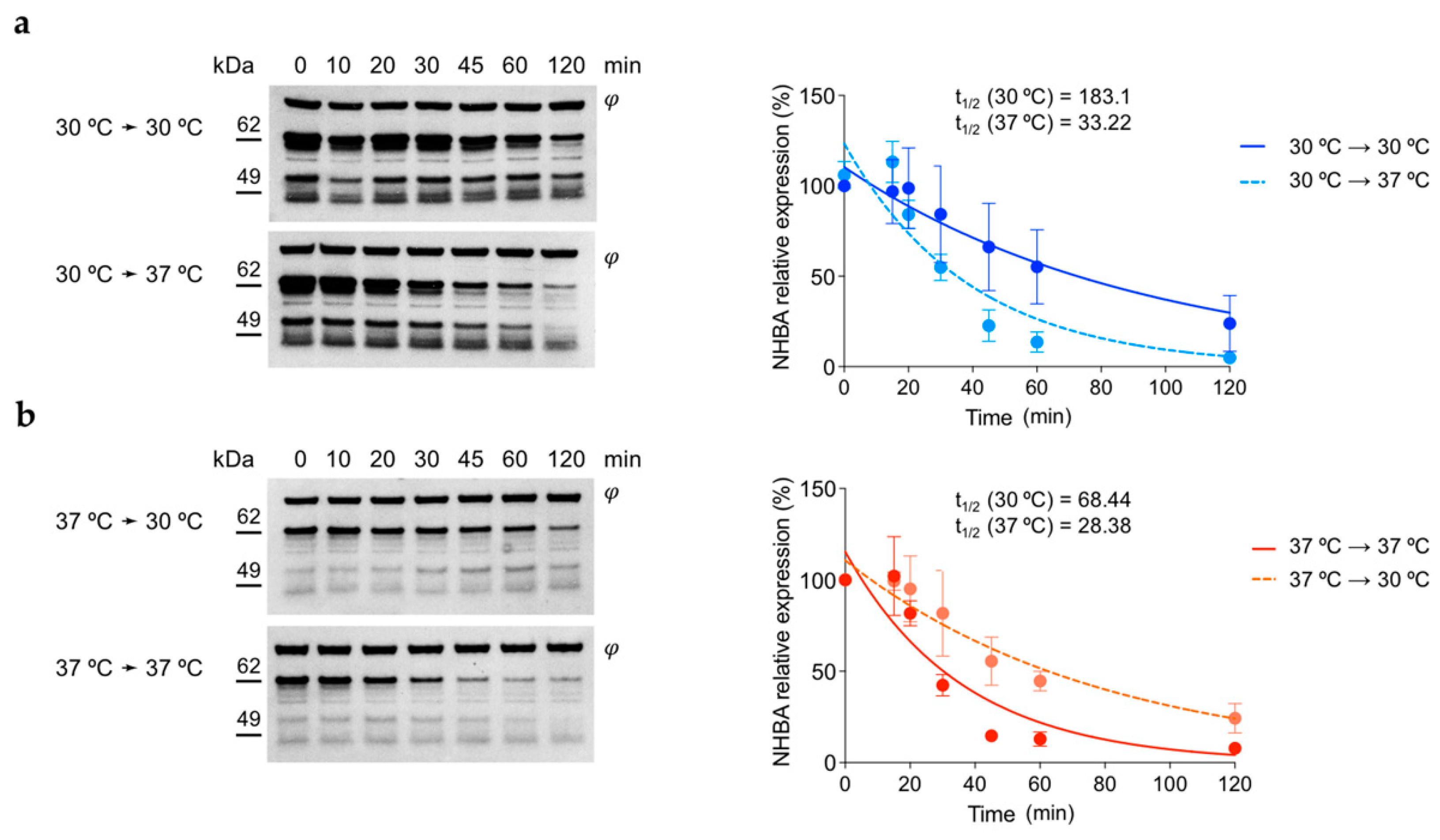 Microorganisms 10 00834 g005
