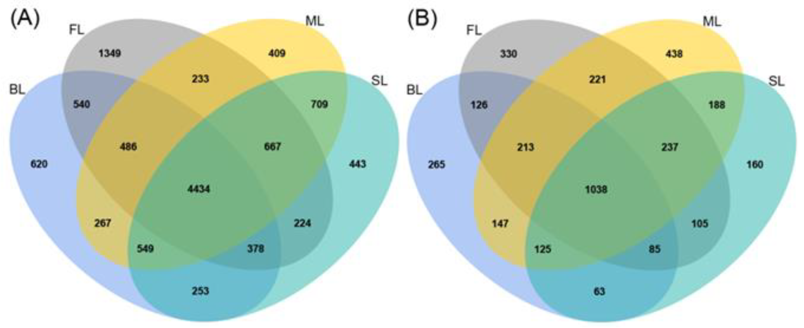 Microorganisms 10 00956 g003