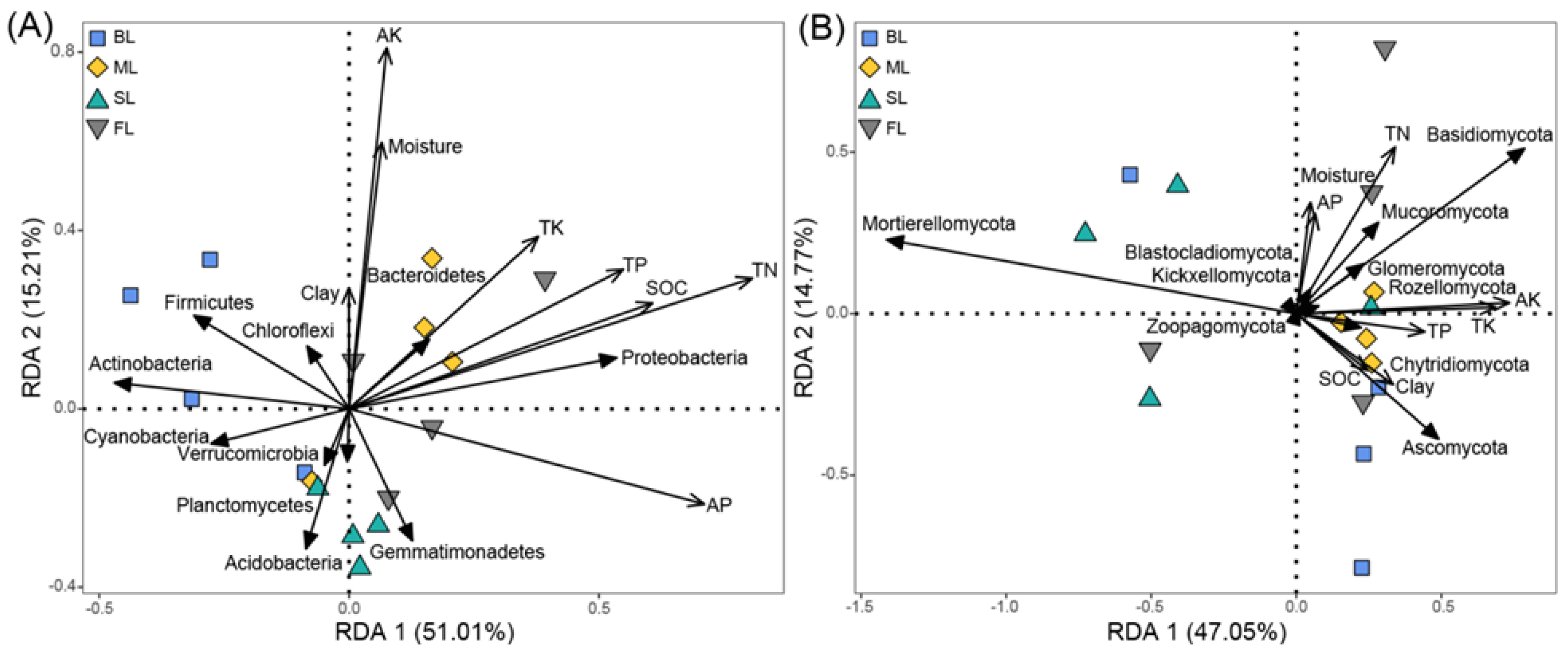 Microorganisms 10 00956 g006