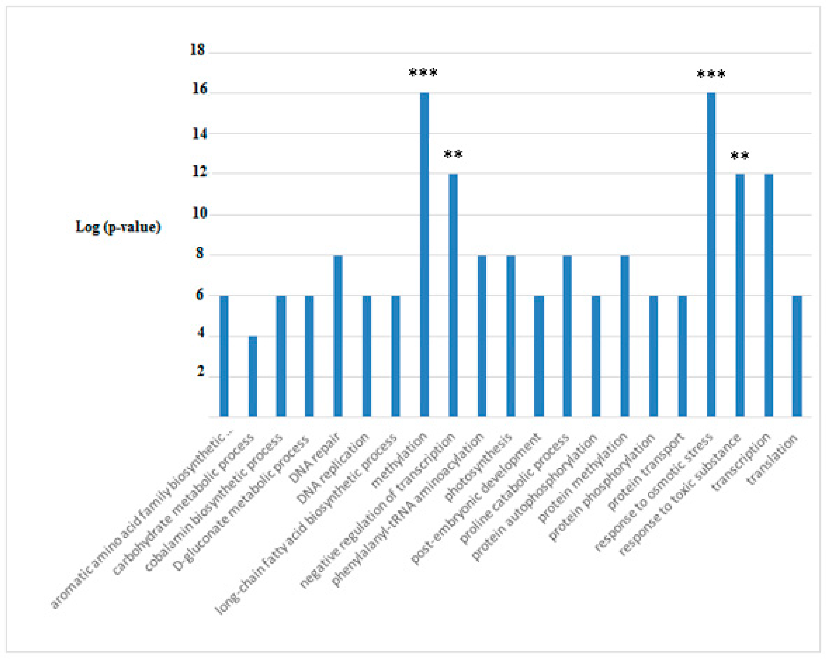 Microorganisms 10 01063 g011