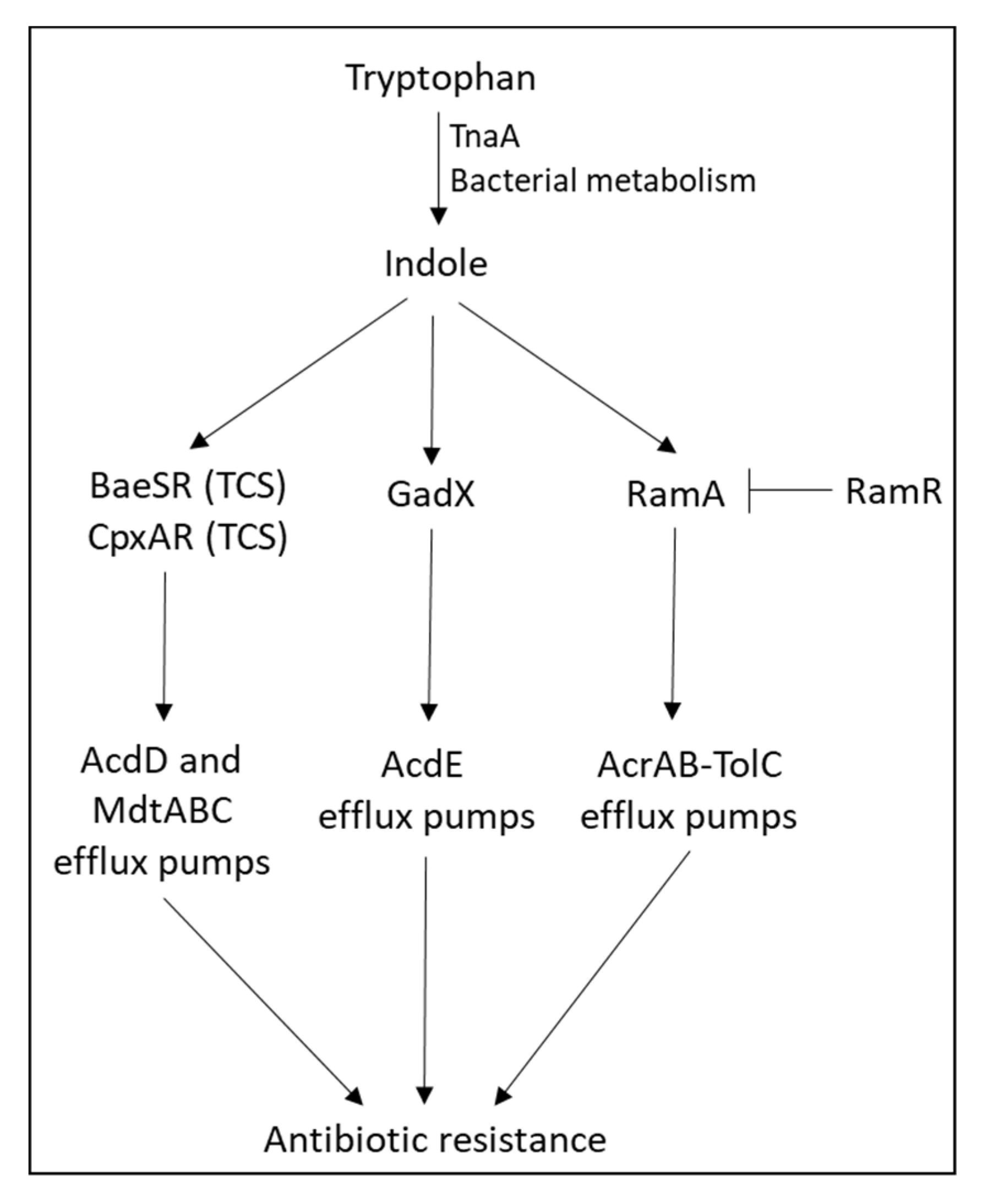 Microorganisms 10 01239 g004 Microorganisms 10 01239 g004