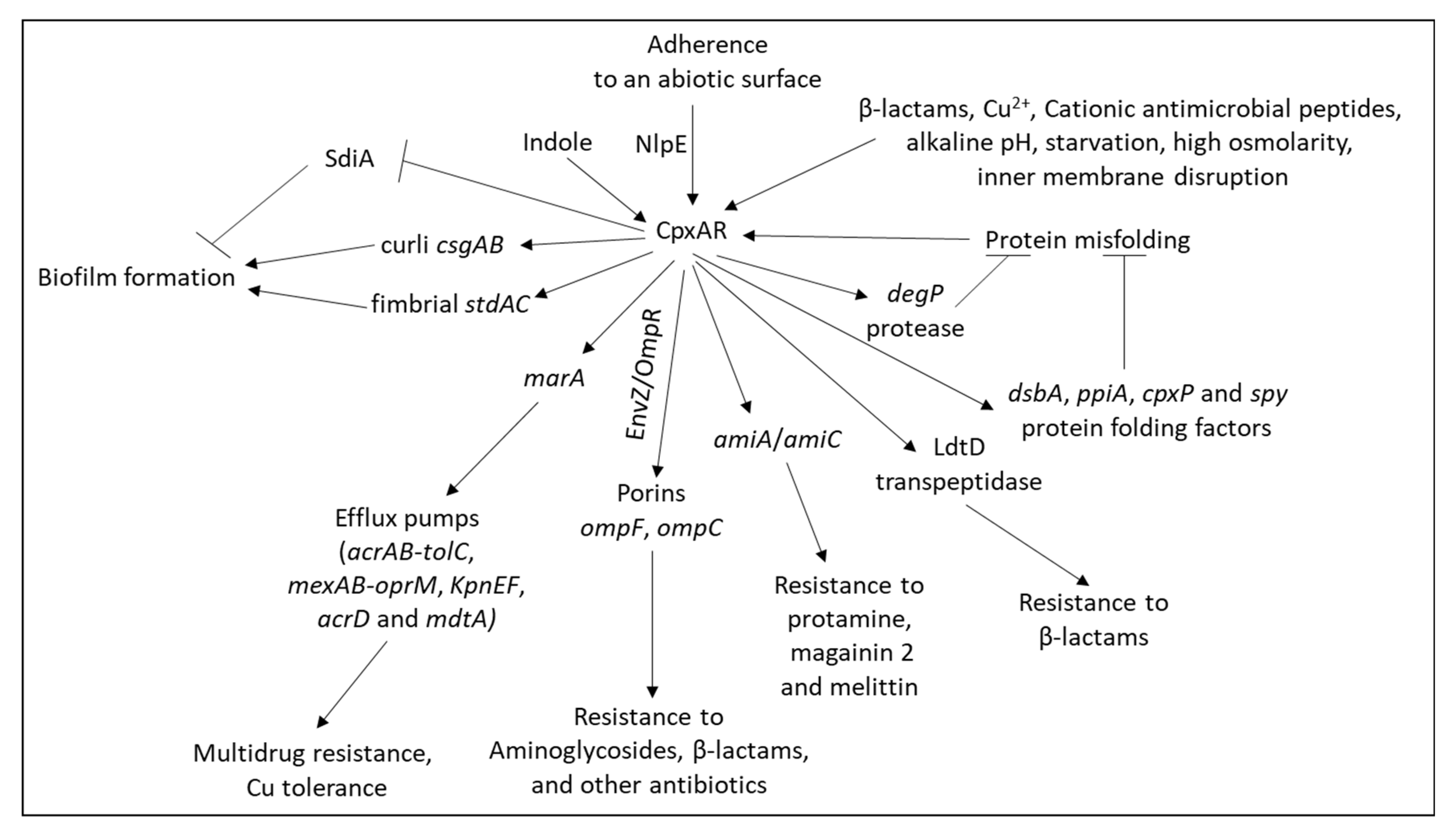 Microorganisms 10 01239 g010 Microorganisms 10 01239 g010