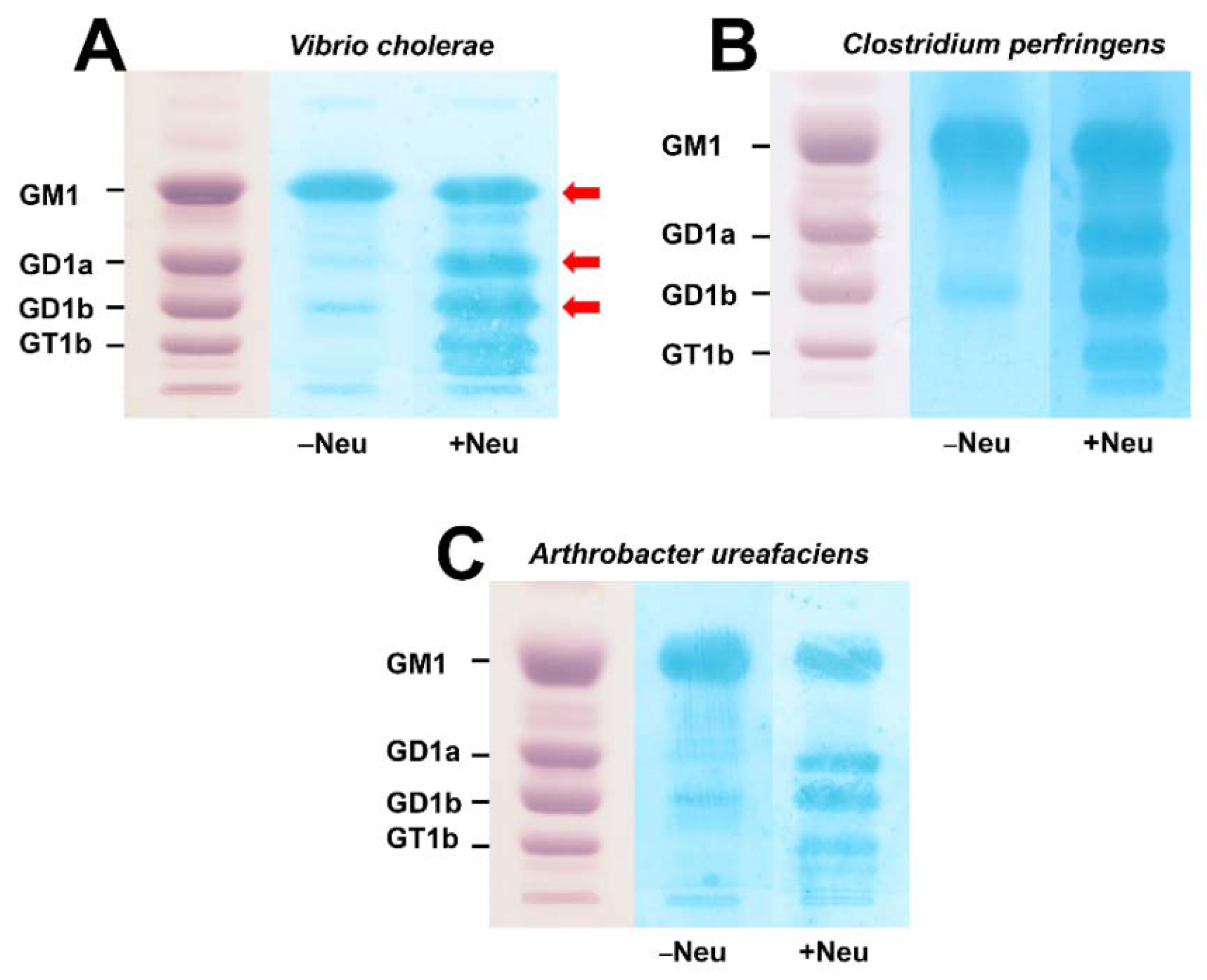 Microorganisms 10 01255 g002