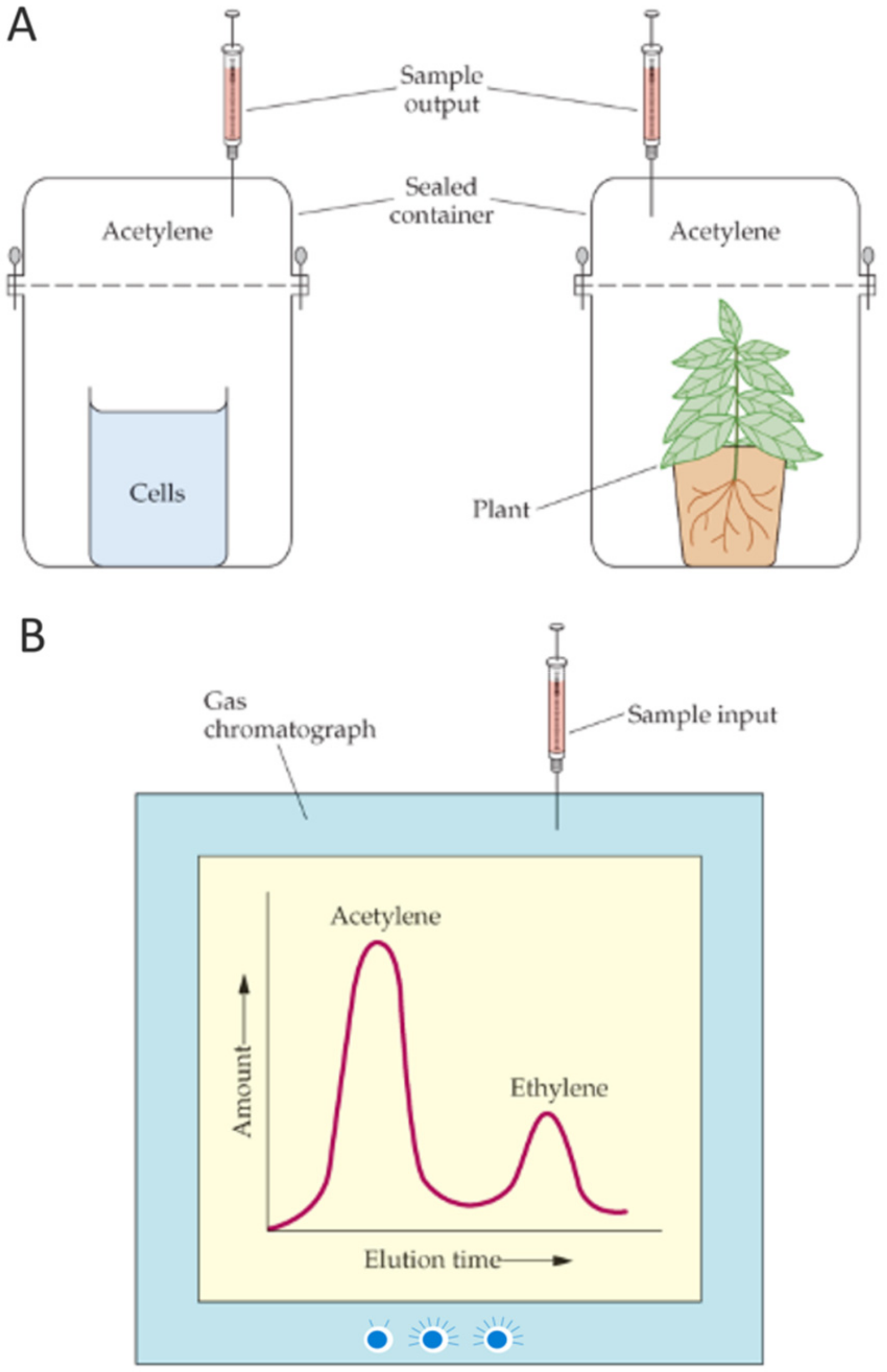 Microorganisms 10 01380 g005