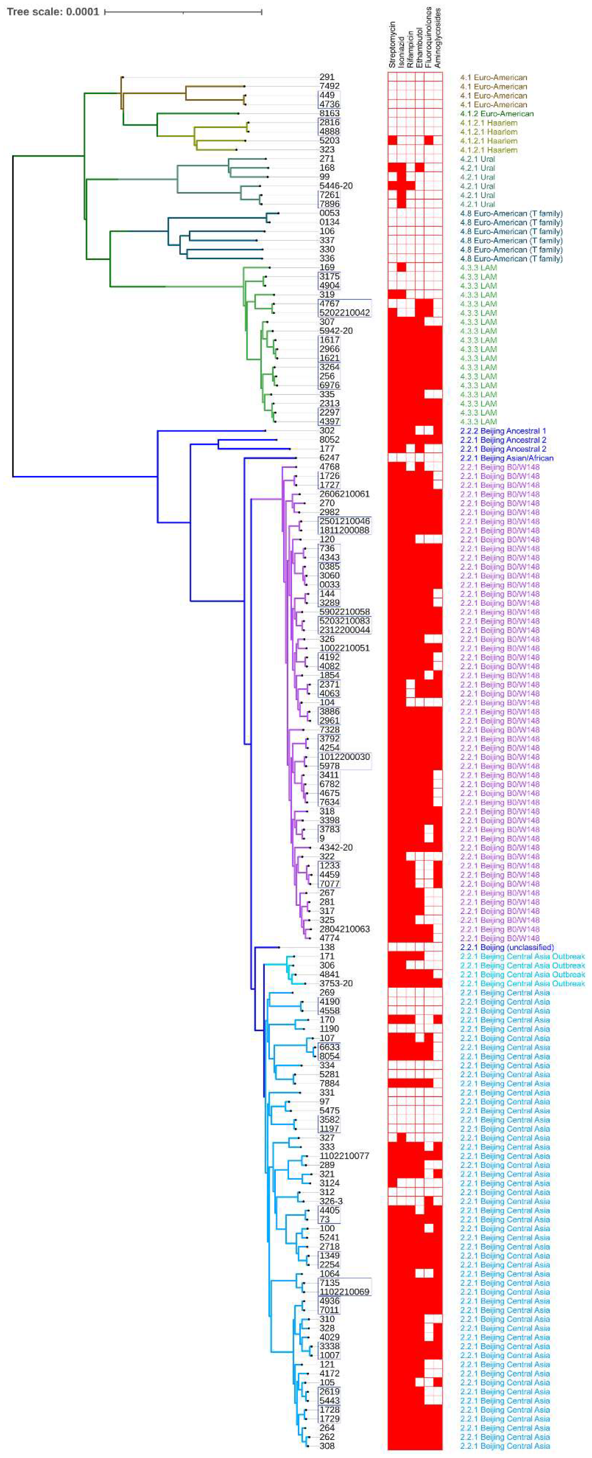 Microorganisms 10 01440 g001