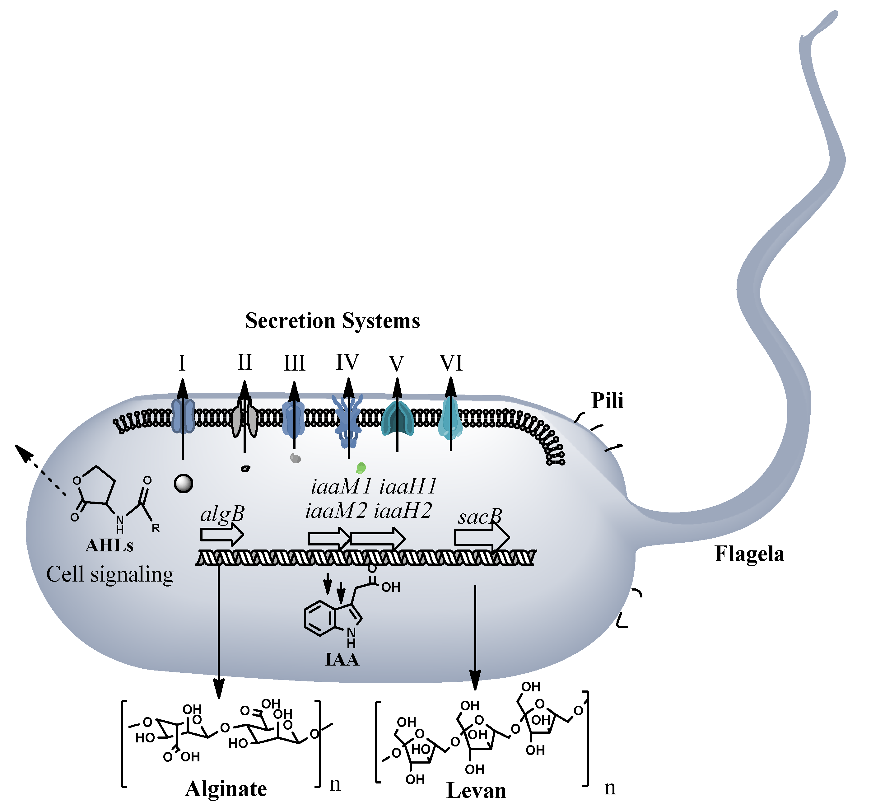 Microorganisms 10 01529 g003
