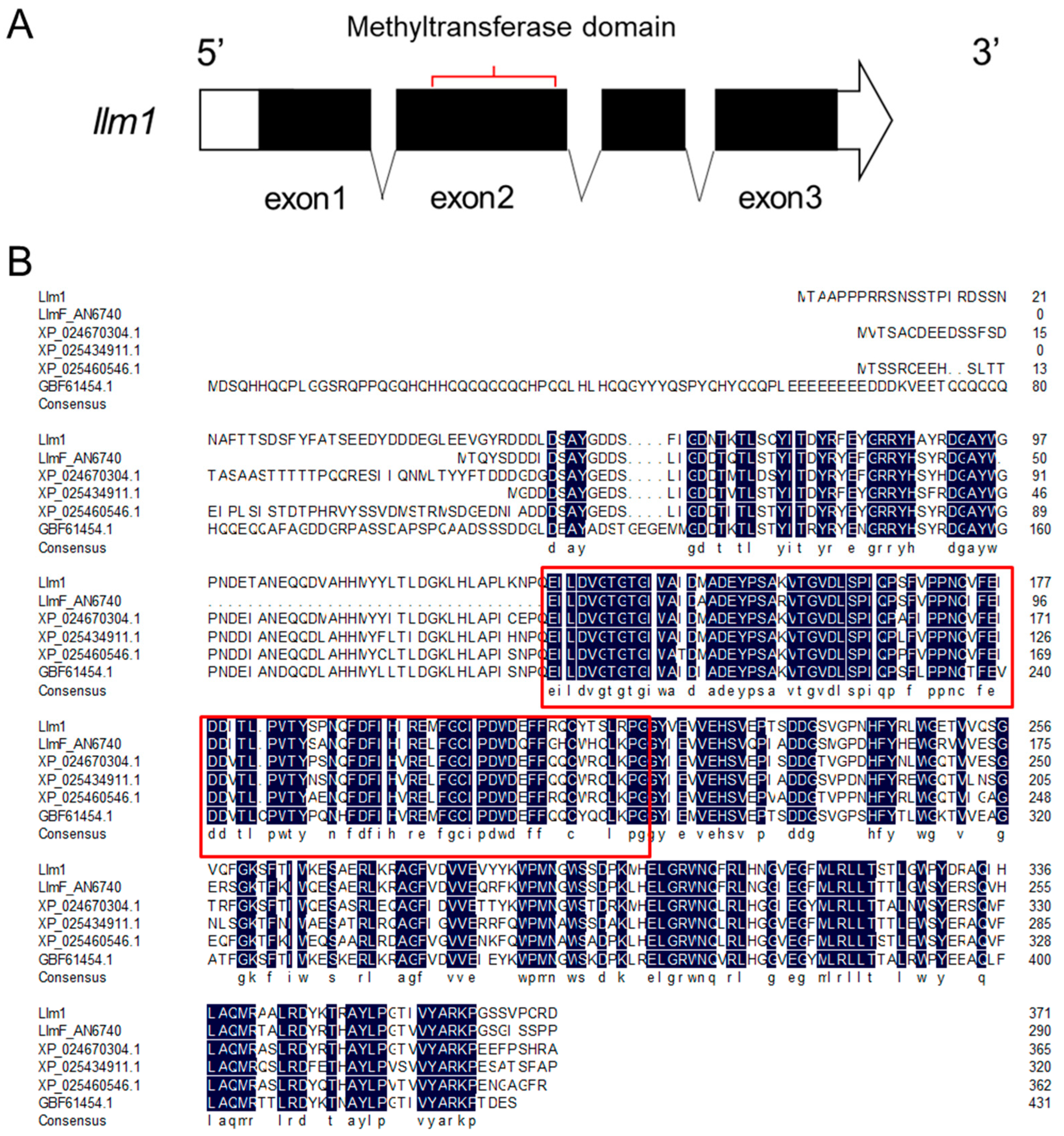 Microorganisms 10 01707 g001