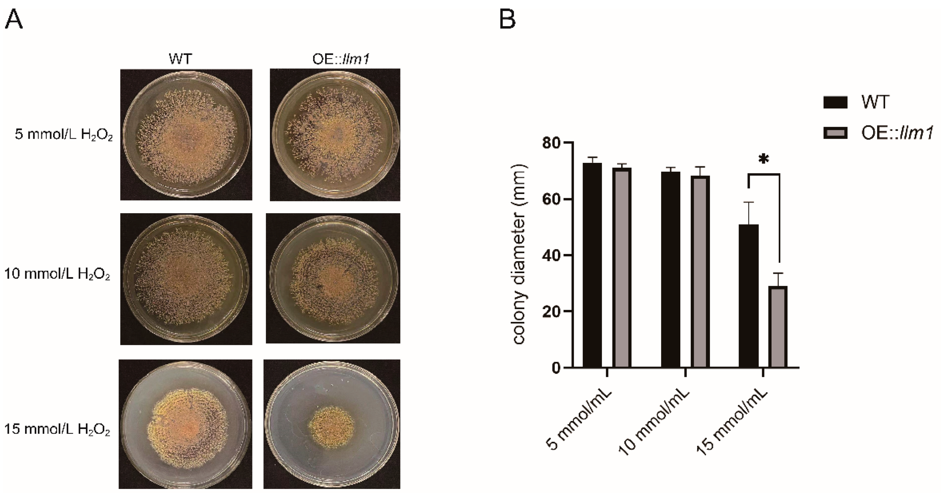 Microorganisms 10 01707 g003