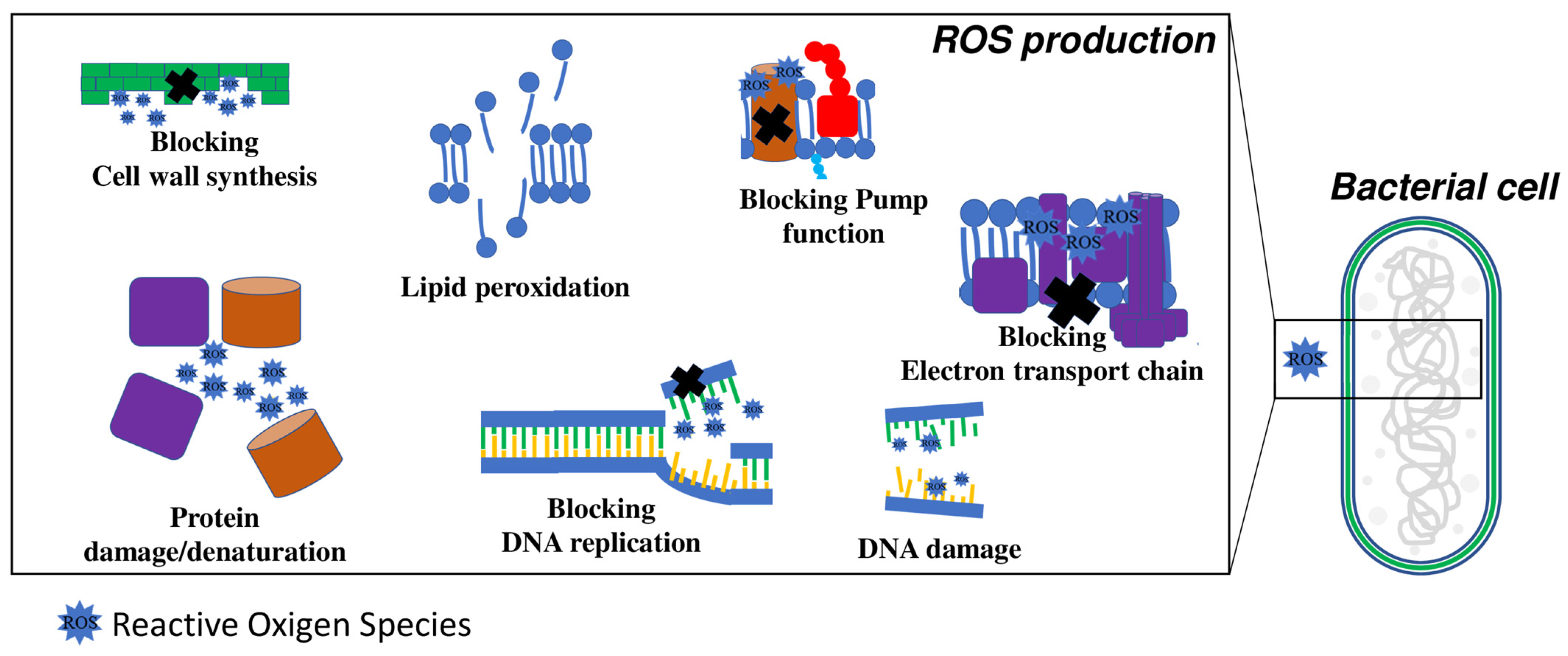 Microorganisms 10 01778 g005